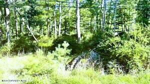 Metzgar Road Property Photo 2