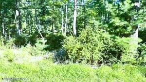 Metzgar Road Property Photo 5