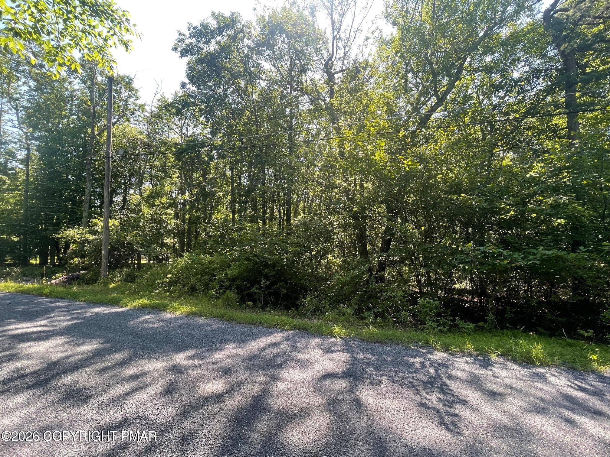 A566 Orange Lane Property Photo 2