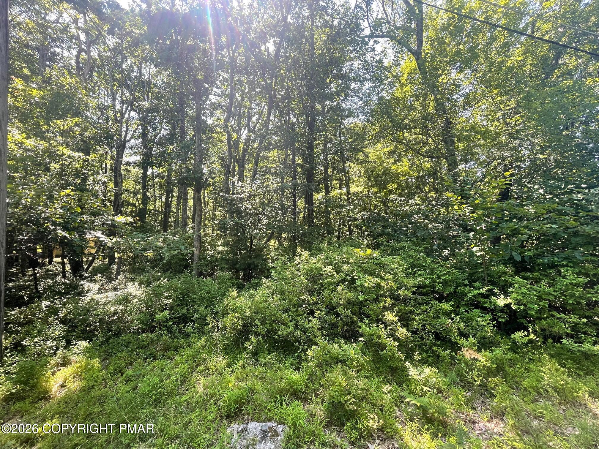 A566 Orange Lane Property Photo 4