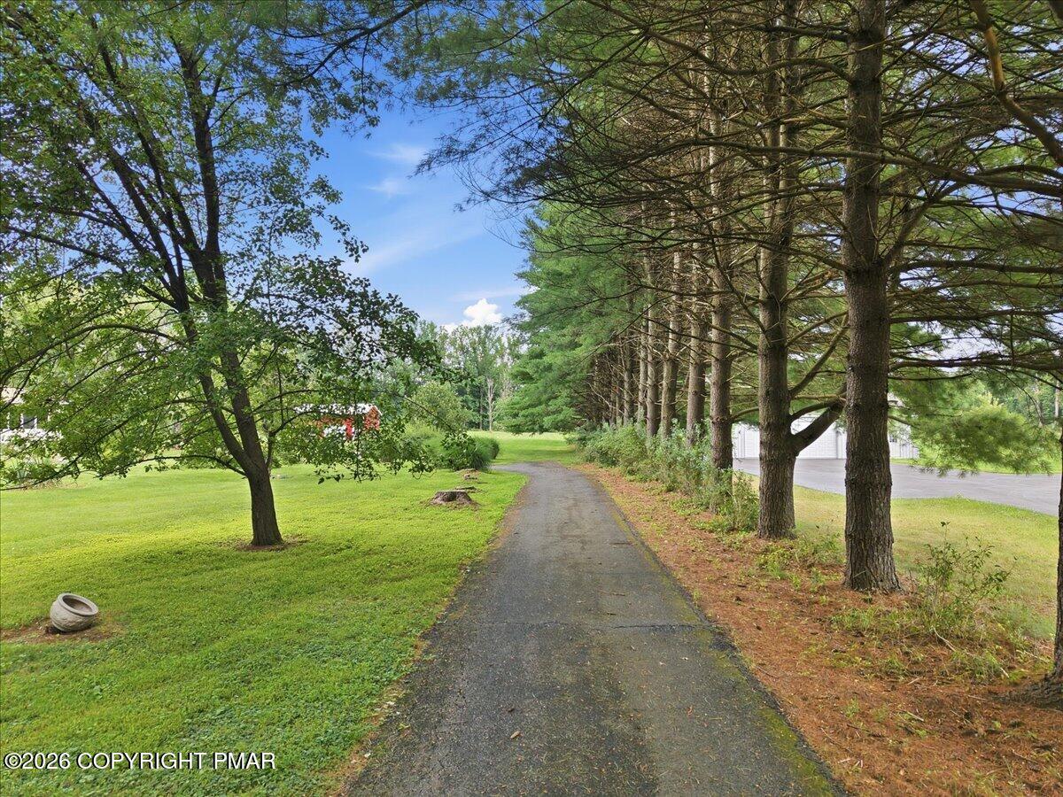 146 Tittle Road Property Photo 79