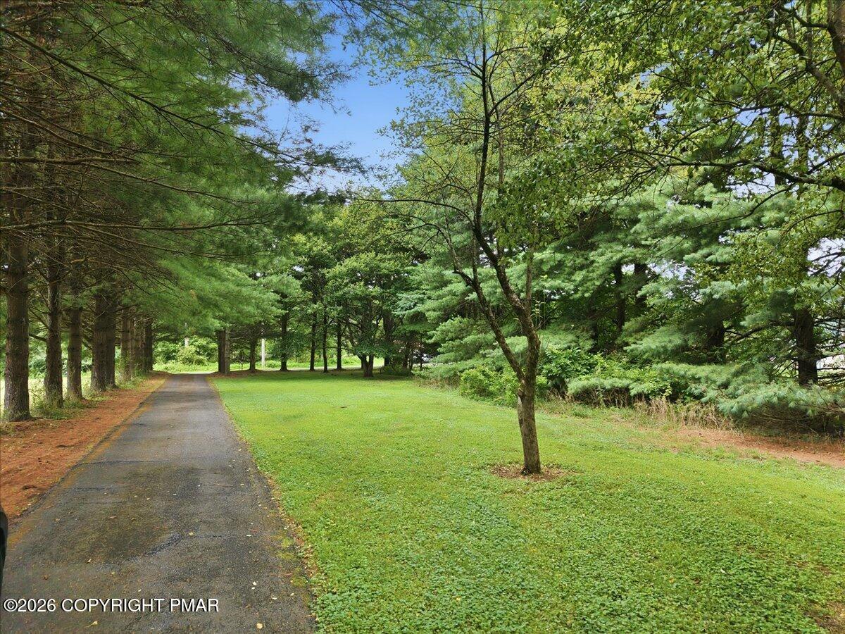 146 Tittle Road Property Photo 80