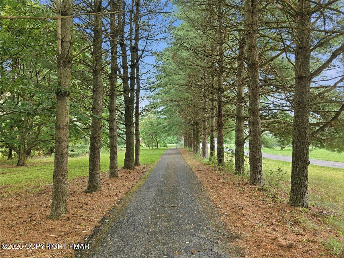 146 Tittle Road Property Photo 81