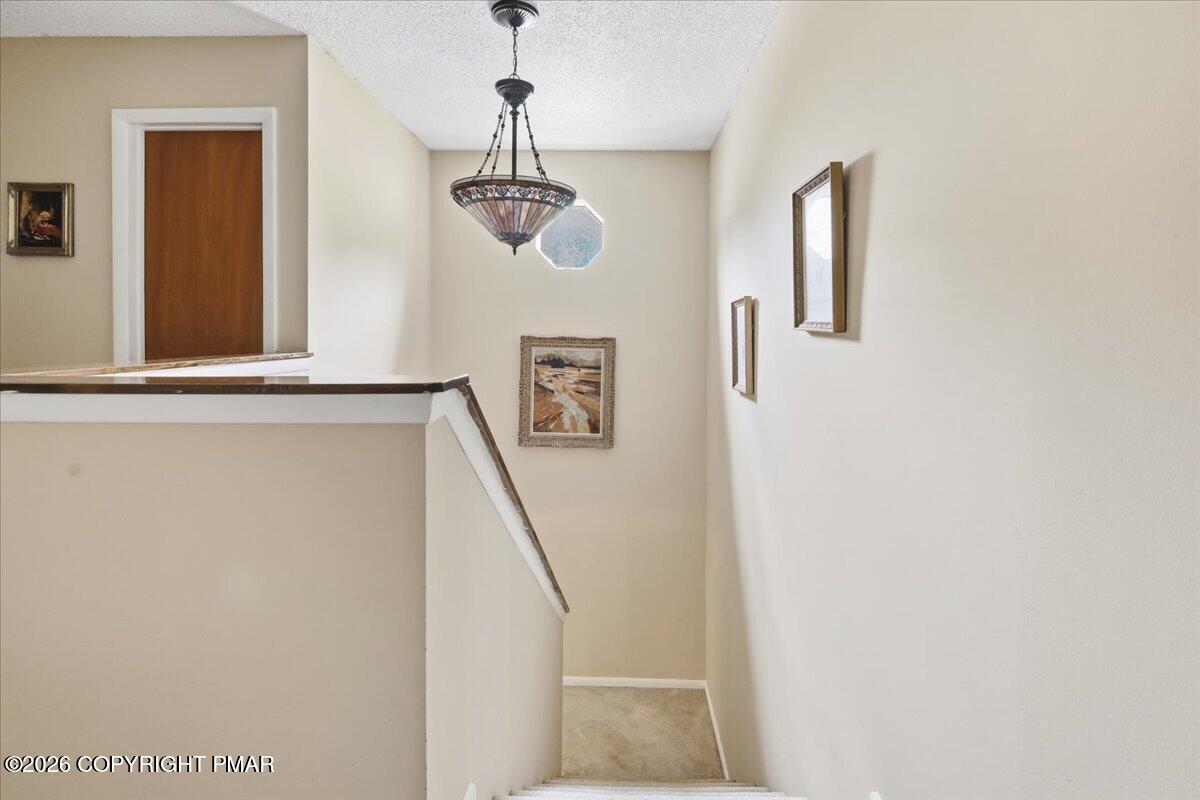 255 Nittany Court Property Photo 35