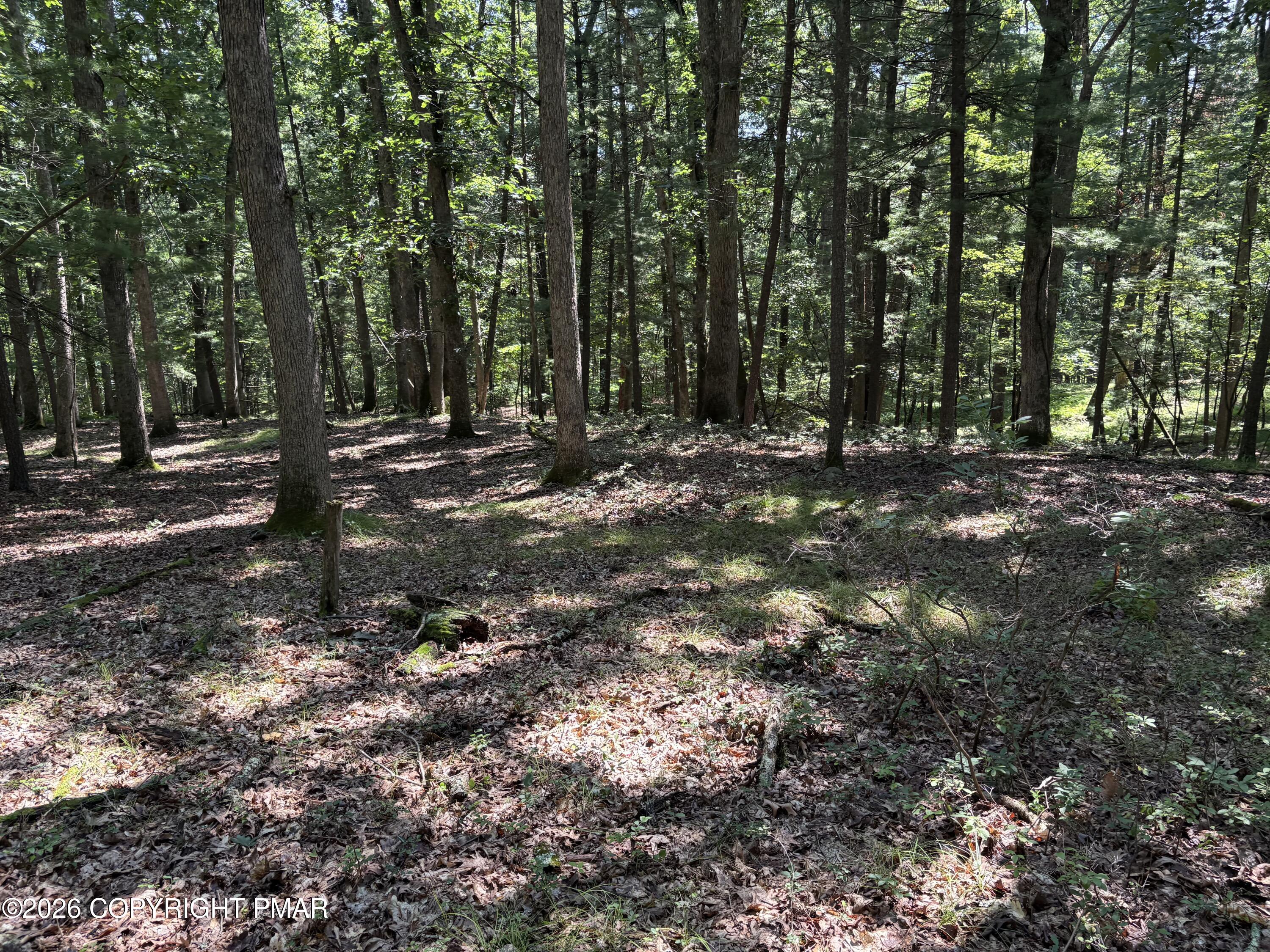 Hutson Hill 14, Lot 14 Property Photo 2