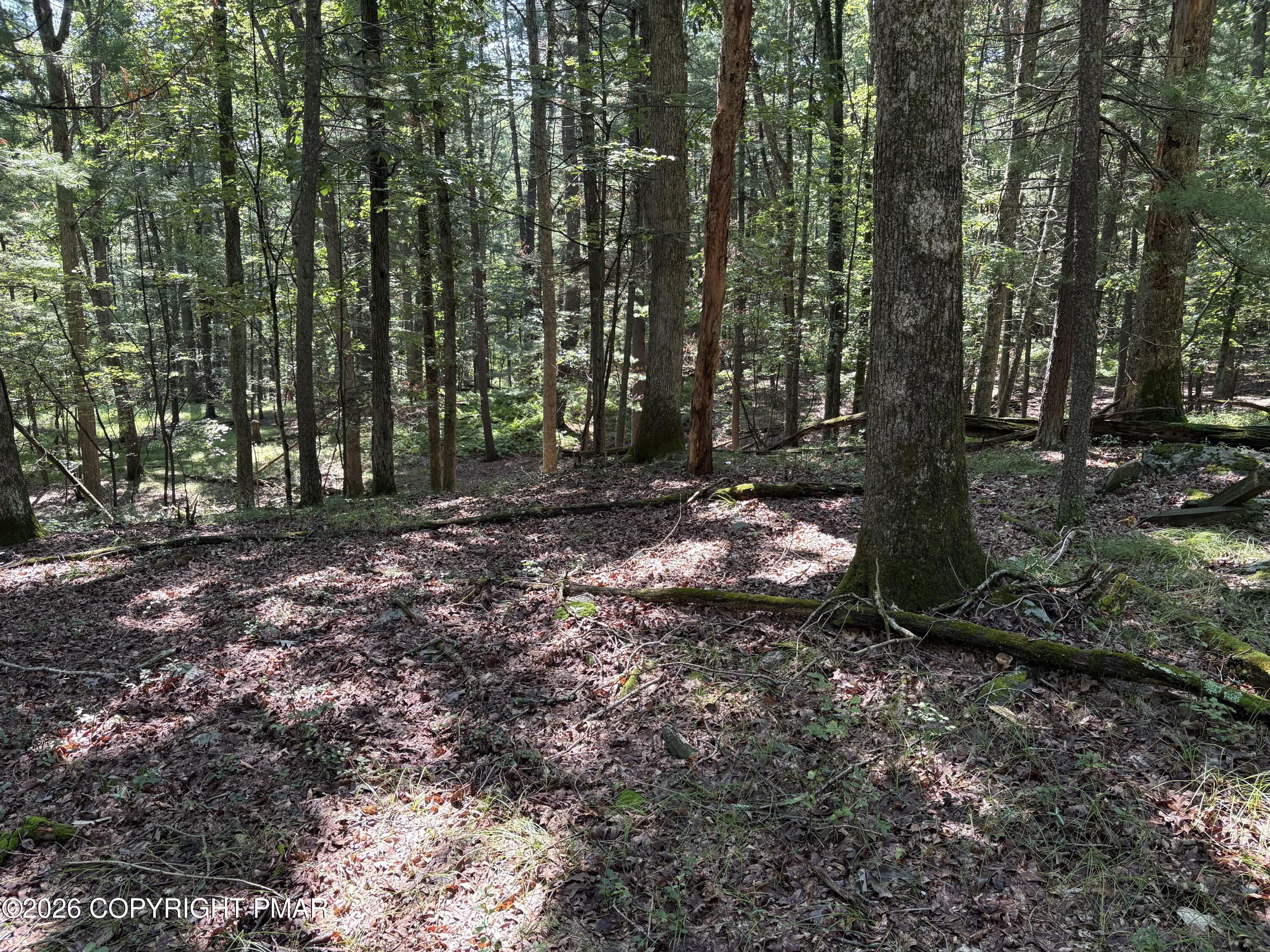 Hutson Hill 14, Lot 14 Property Photo 4