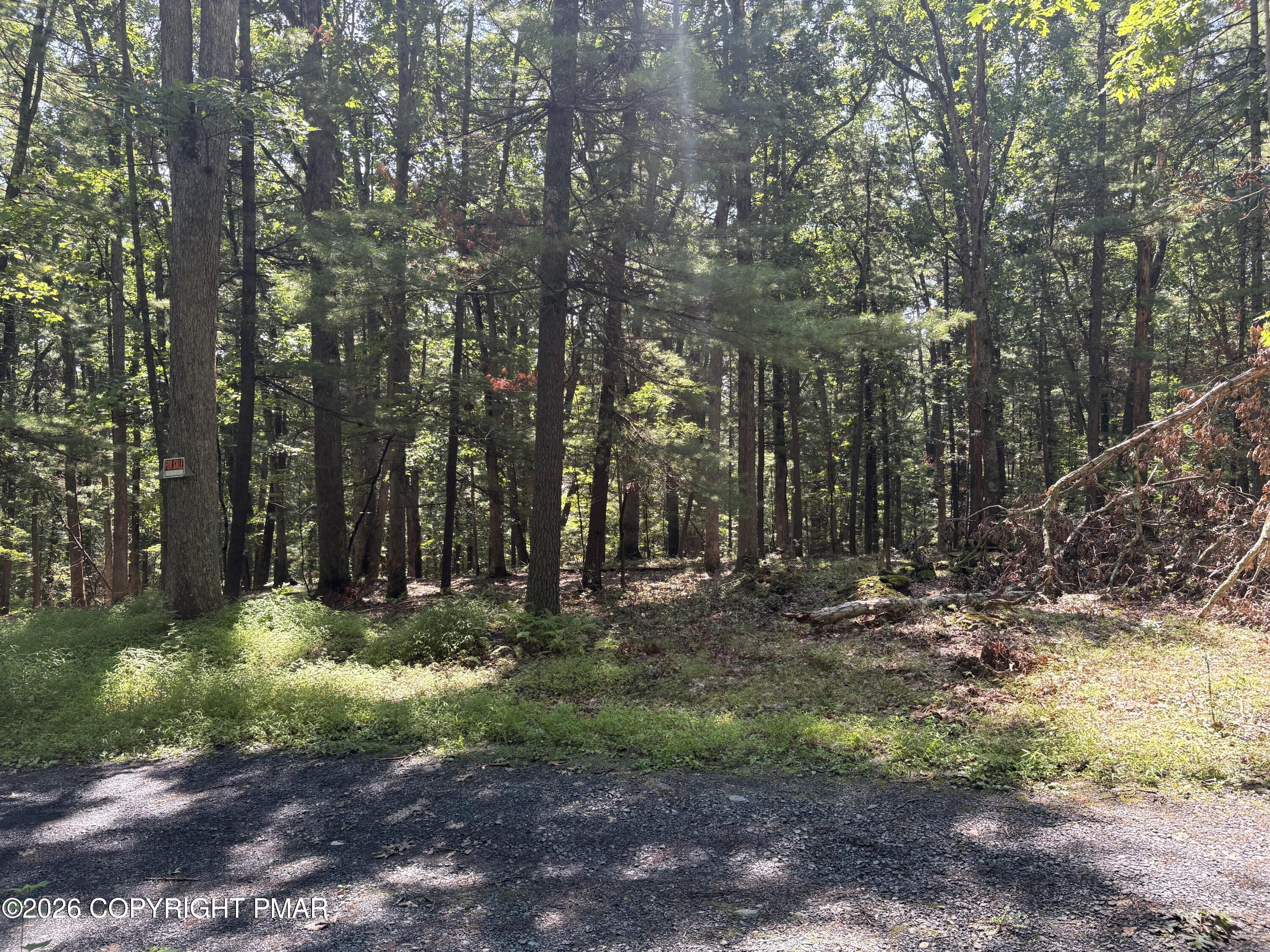 Hutson Hill 14, Lot 14 Property Photo 5