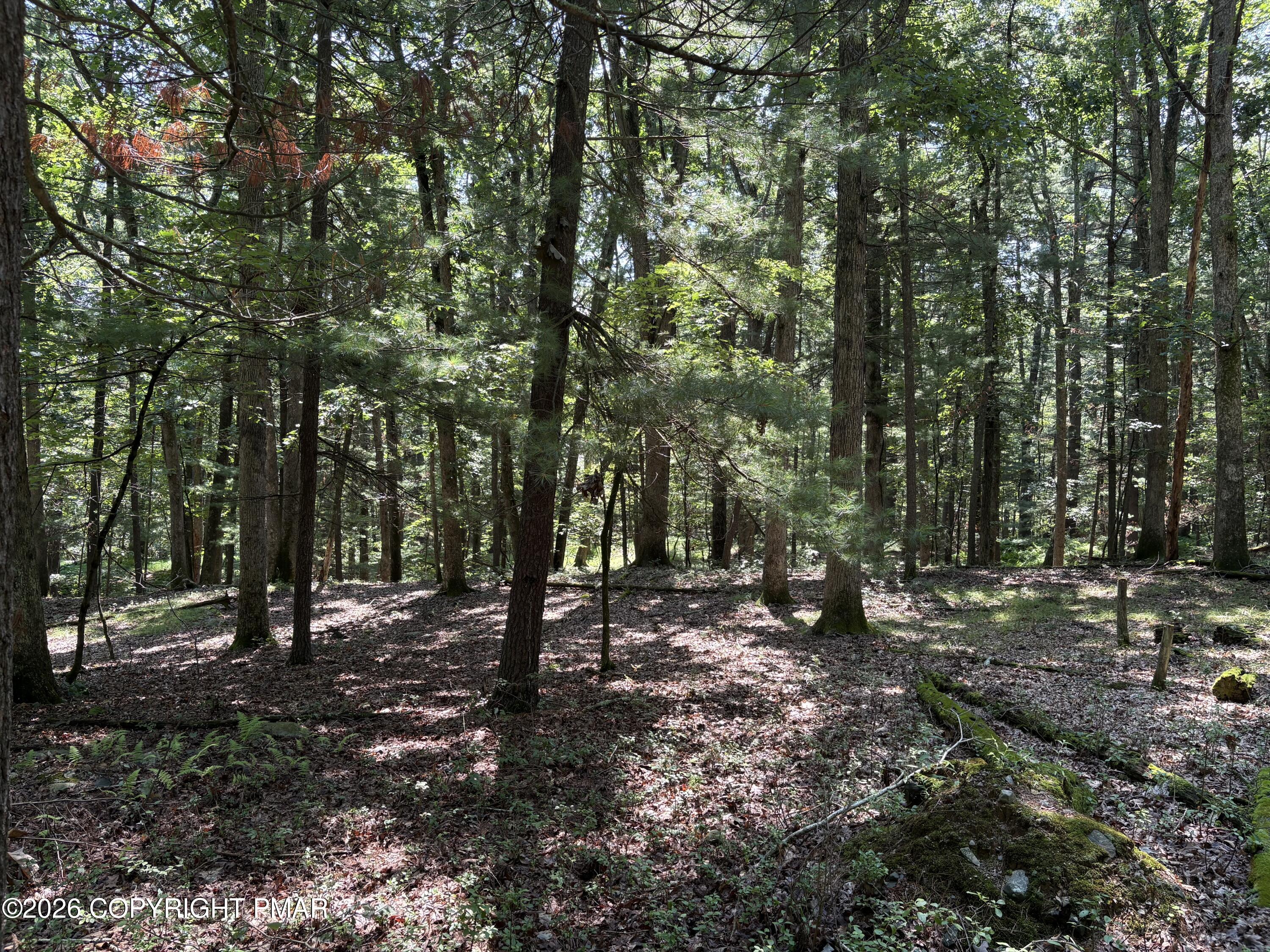 Hutson Hill 14, Lot 14 Property Photo 6