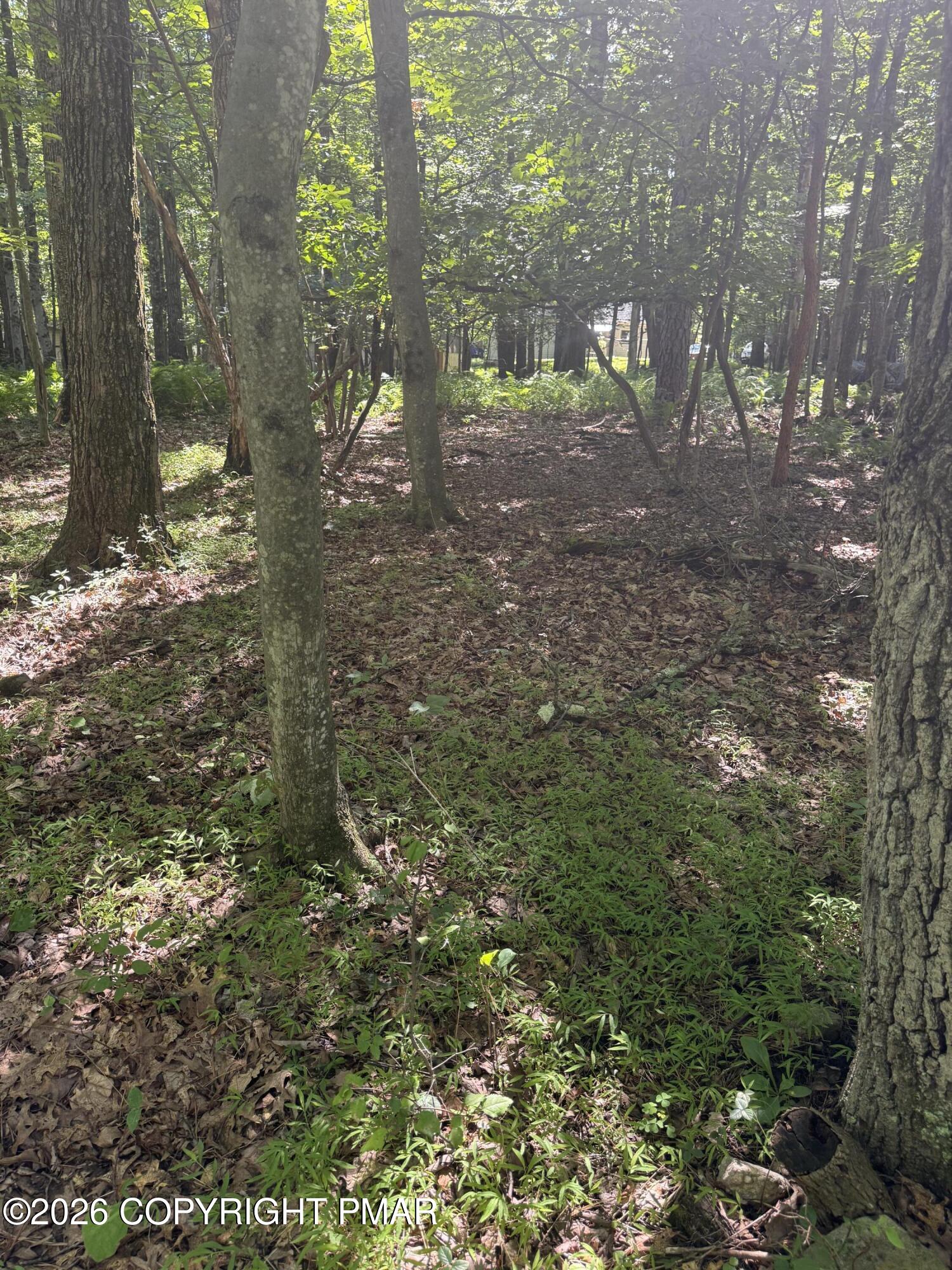Valley Rd 744 Road Property Photo 3