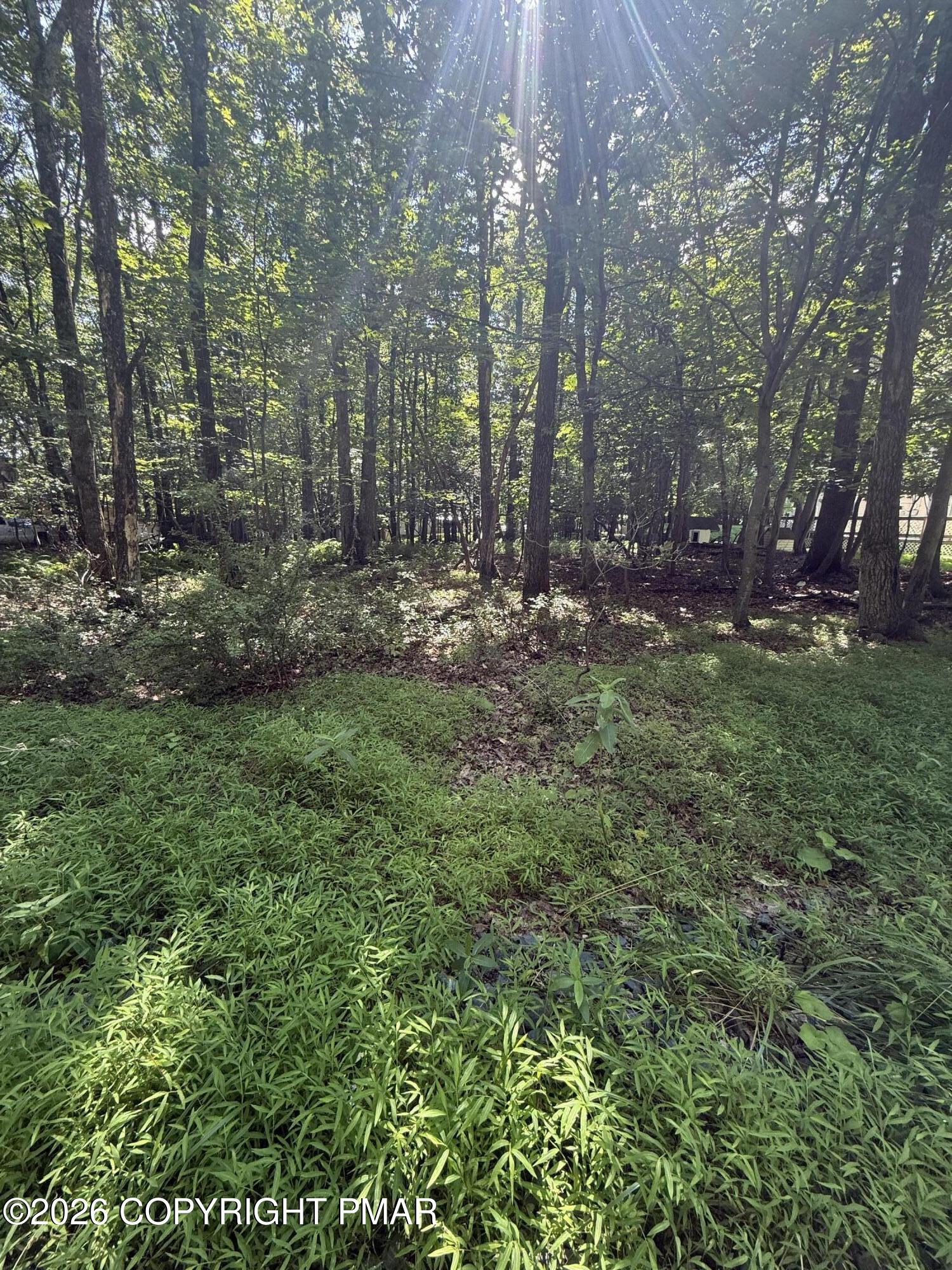 Valley Rd 744 Road Property Photo 6