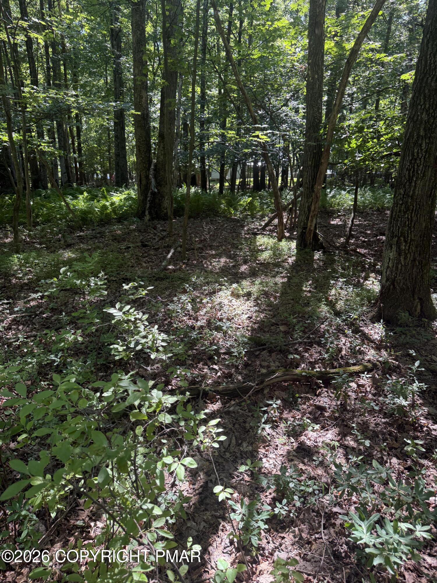 Valley Rd 744 Road Property Photo 11