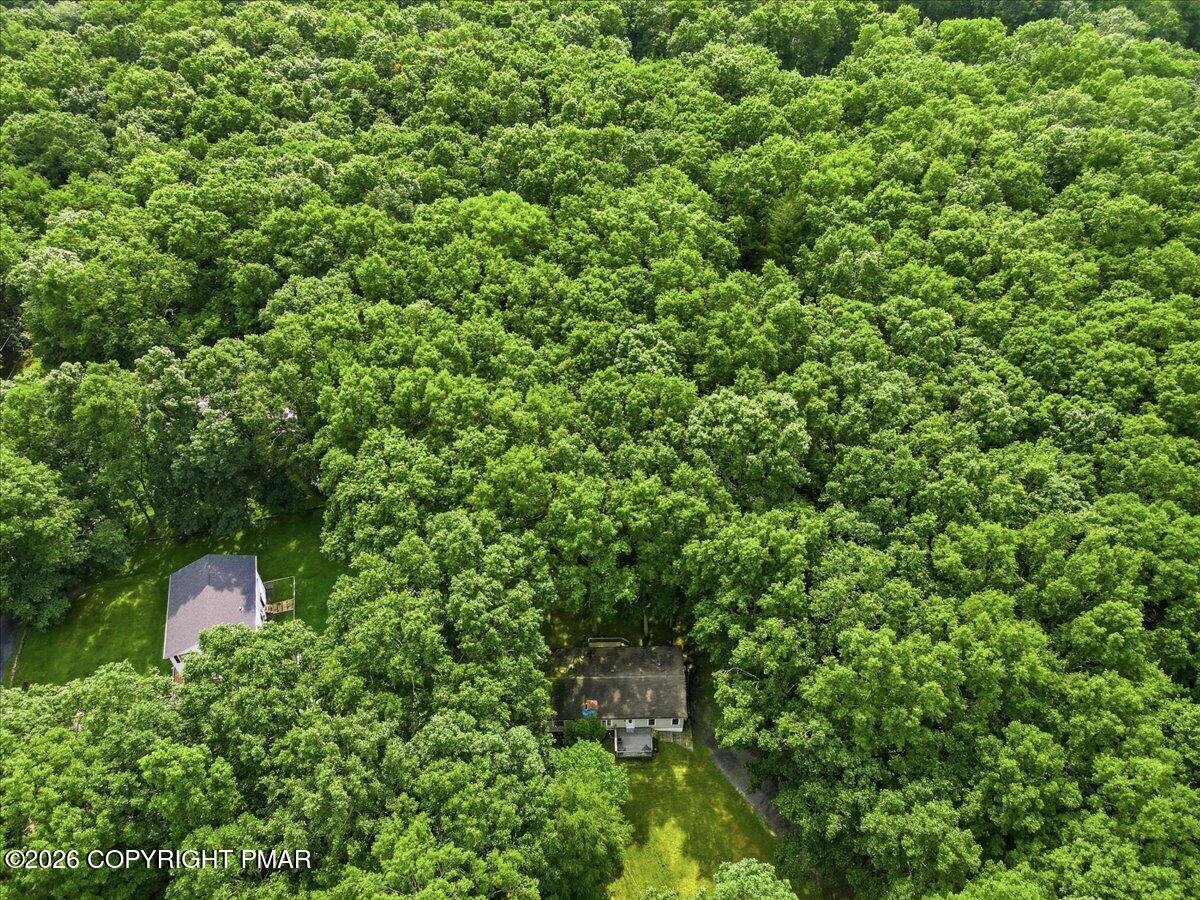 5620 Terrapin Trail Property Photo 51