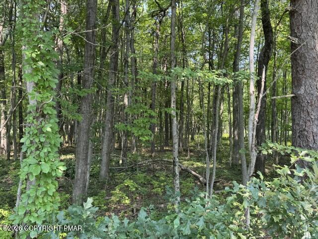 Panther Run Road & Robertson Property Photo 1