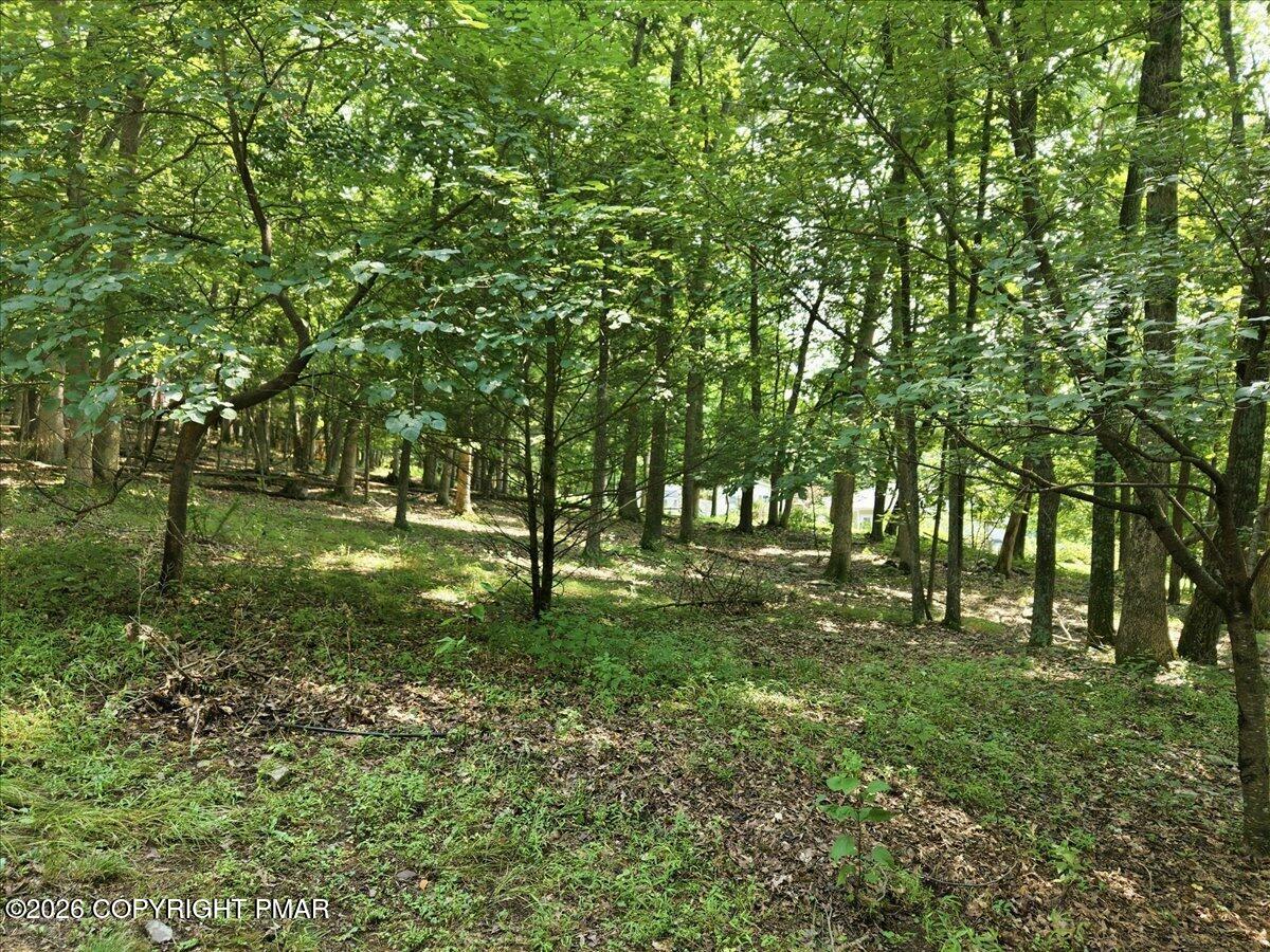 130 Rose Lane Property Photo 59