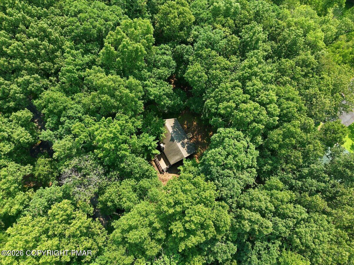 130 Rose Lane Property Photo 60