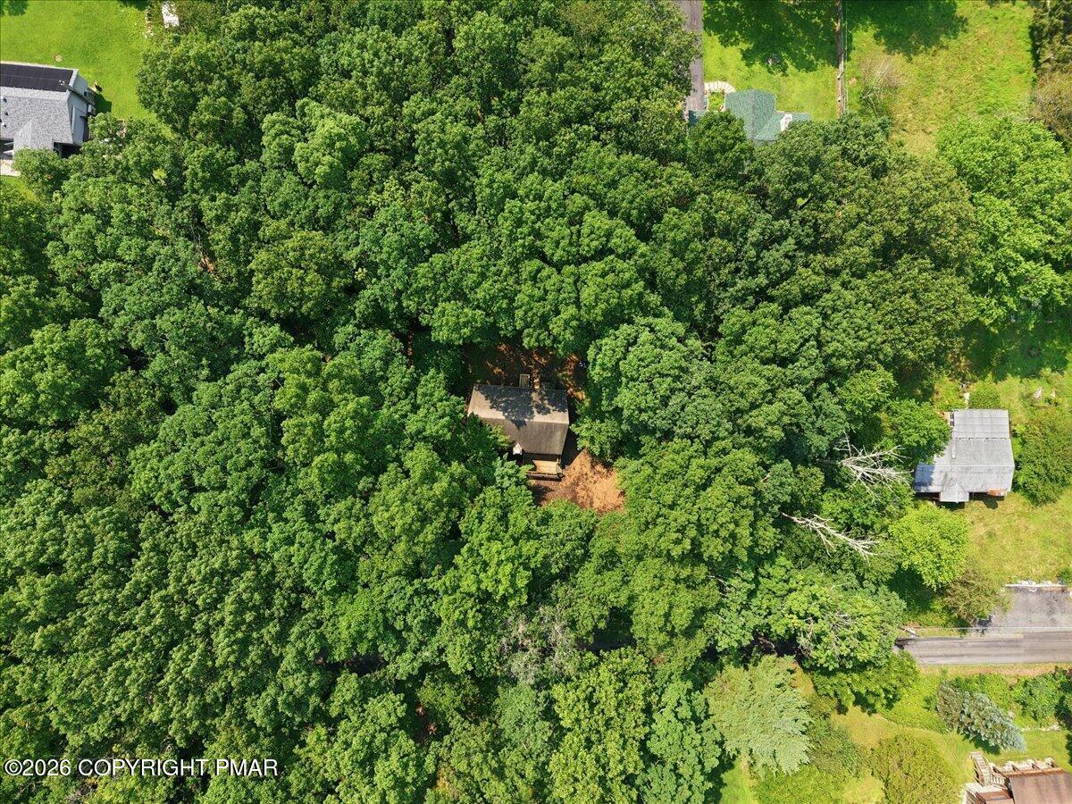 130 Rose Lane Property Photo 61