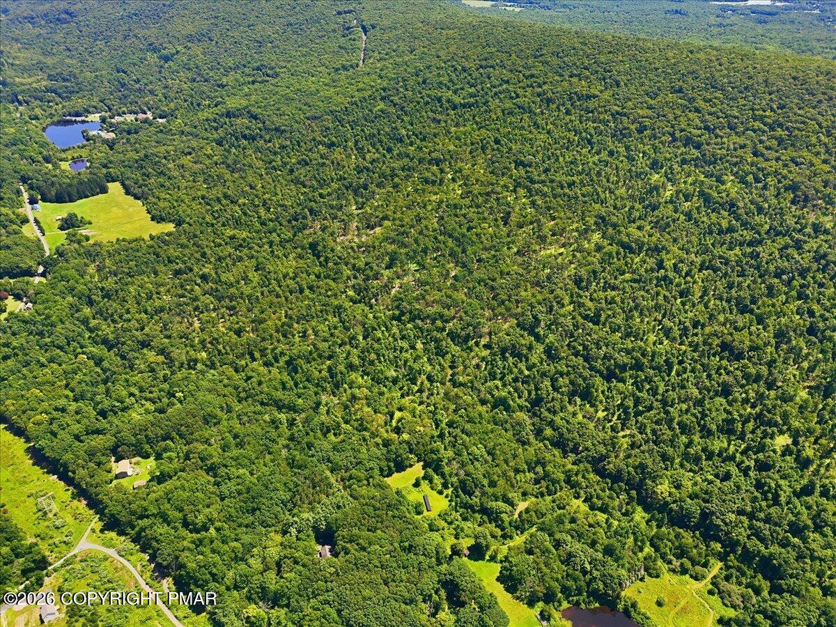 544 Poplar Valley Road W Property Photo 24