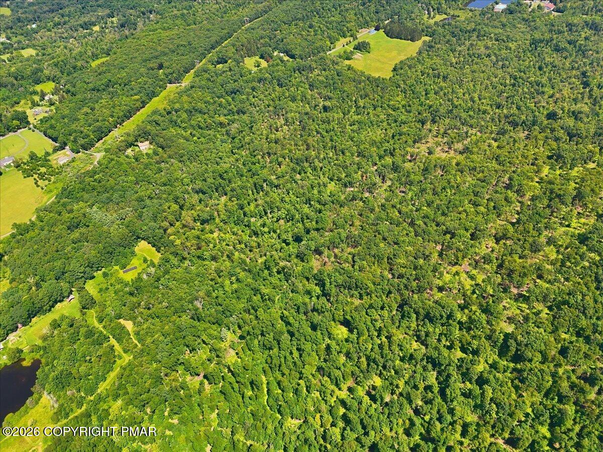 544 Poplar Valley Road W Property Photo 26