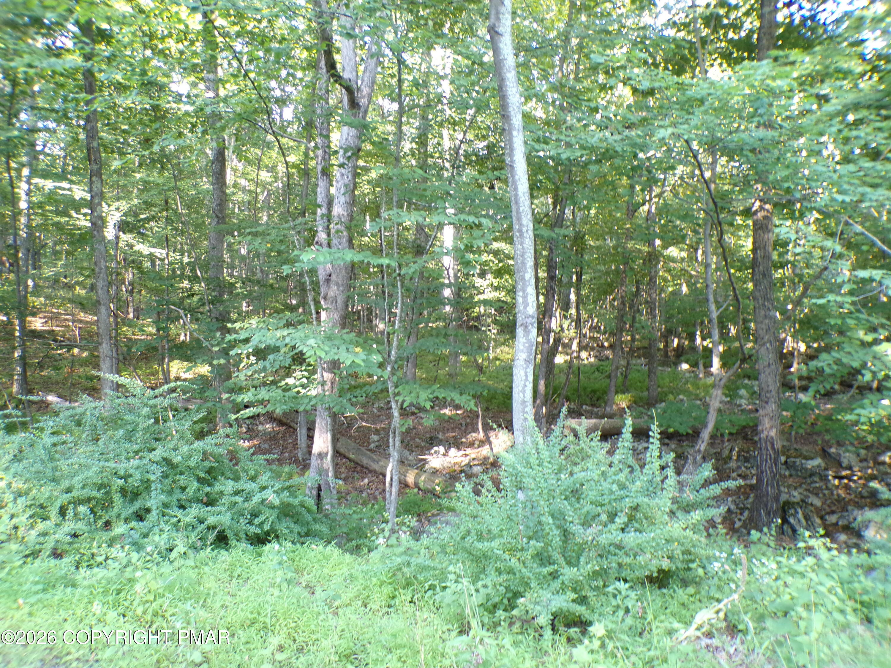 Blue Ridge Dr 1208 Drive Property Photo 1