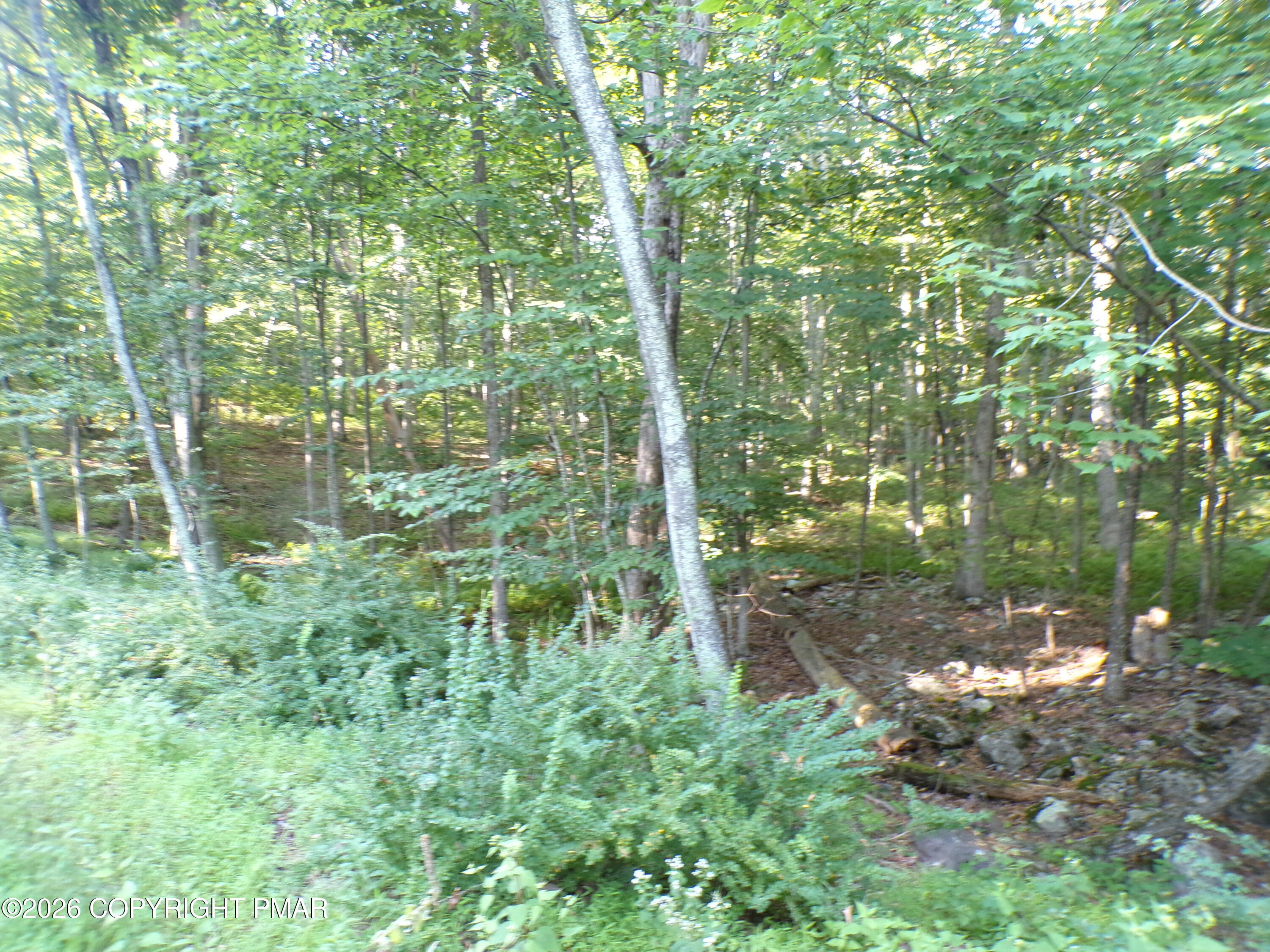 Blue Ridge Dr 1208 Drive Property Photo 2