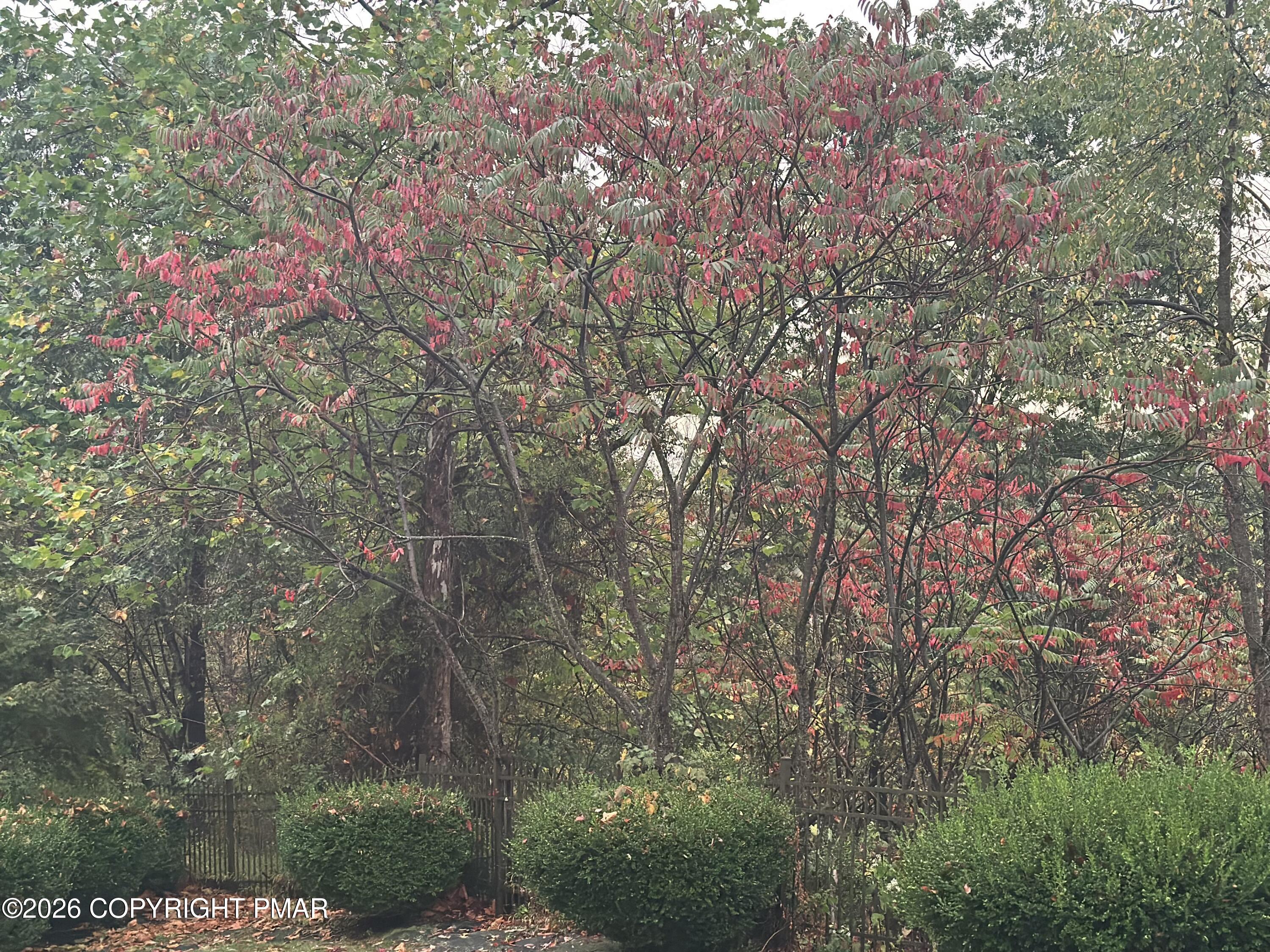 137 Outlook Court Property Photo 56