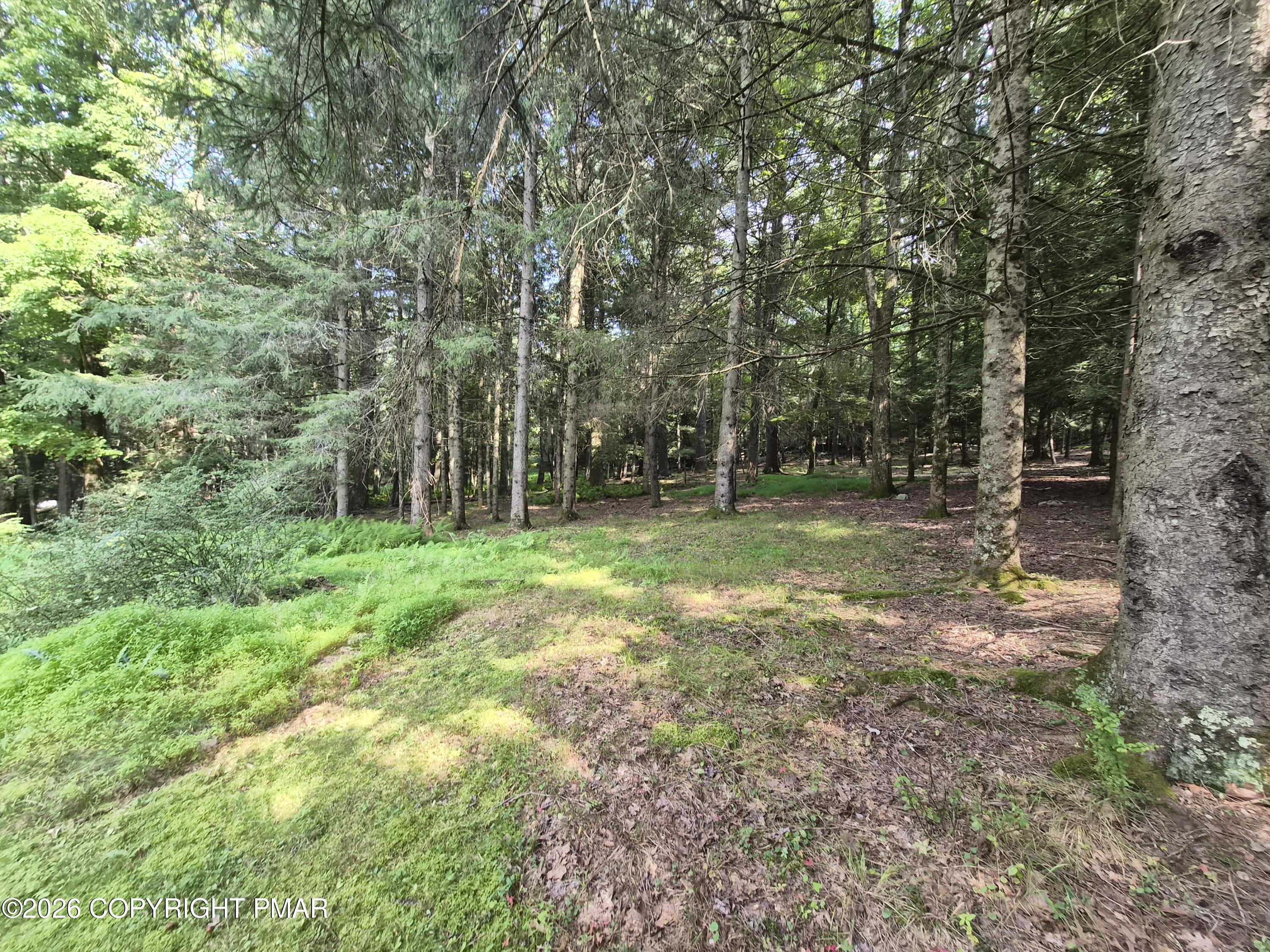354 Sand Spring Road Property Photo 21