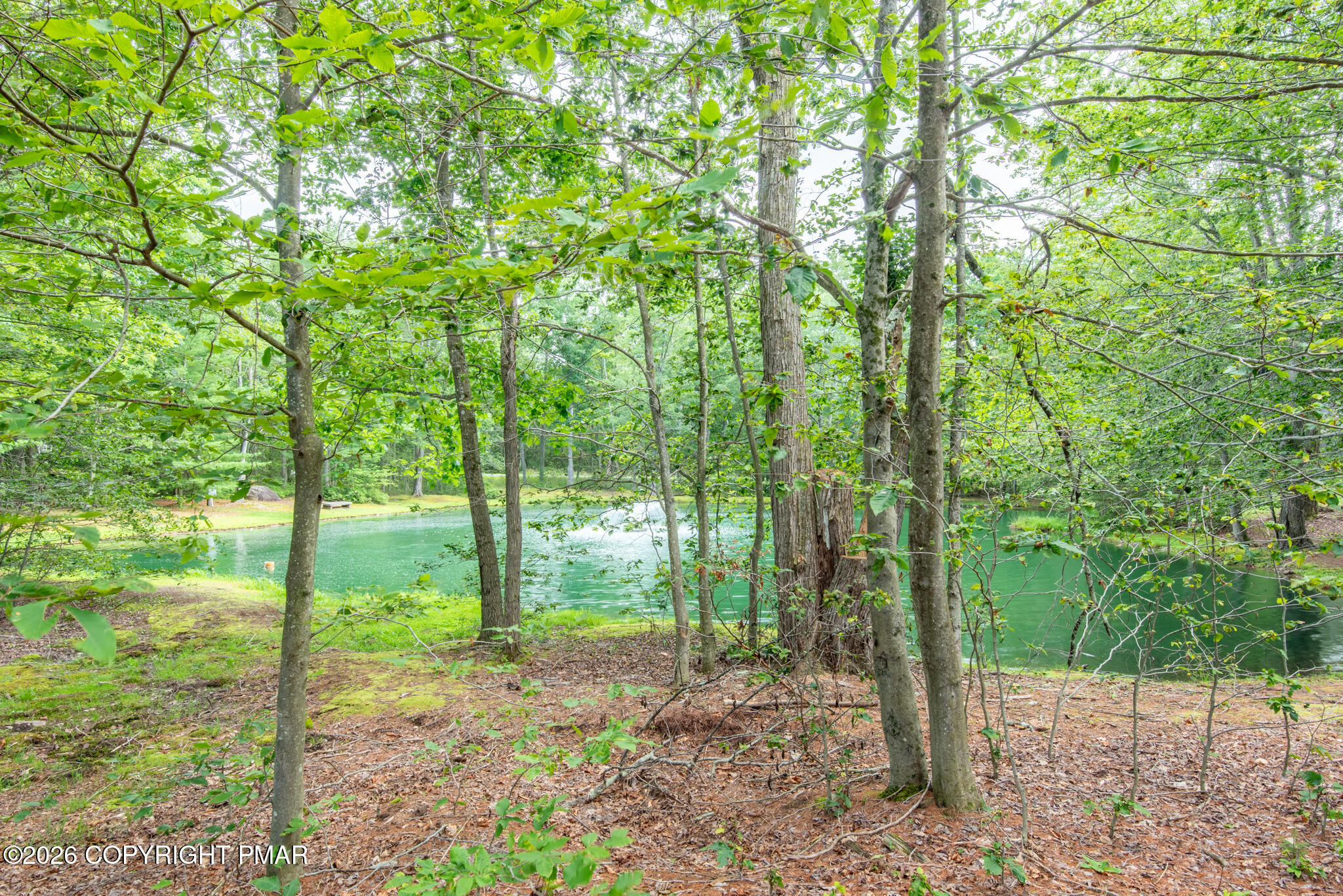 25 Snow Shoe Property Photo 6