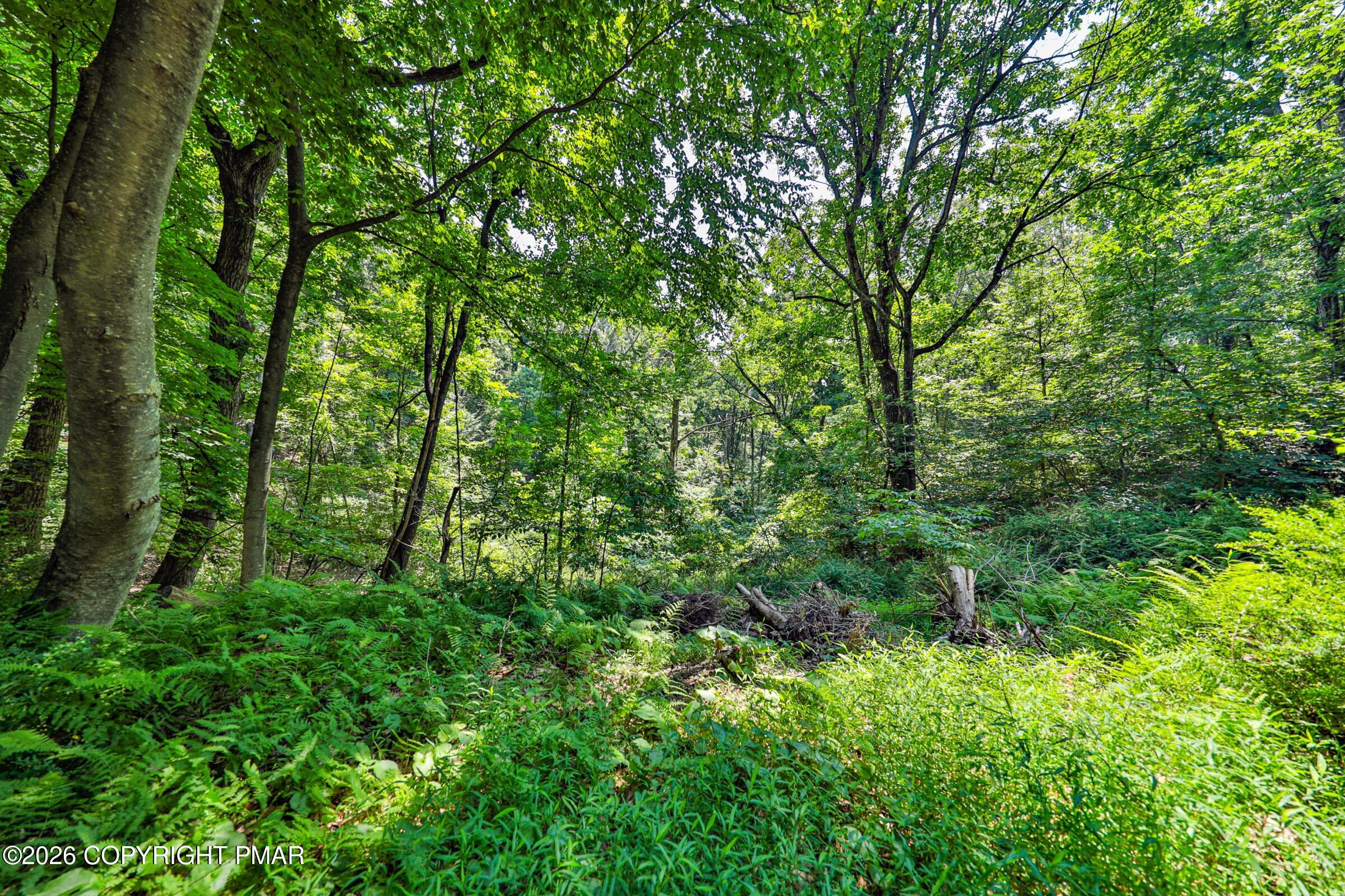 169 Dogwood Lane Property Photo 46