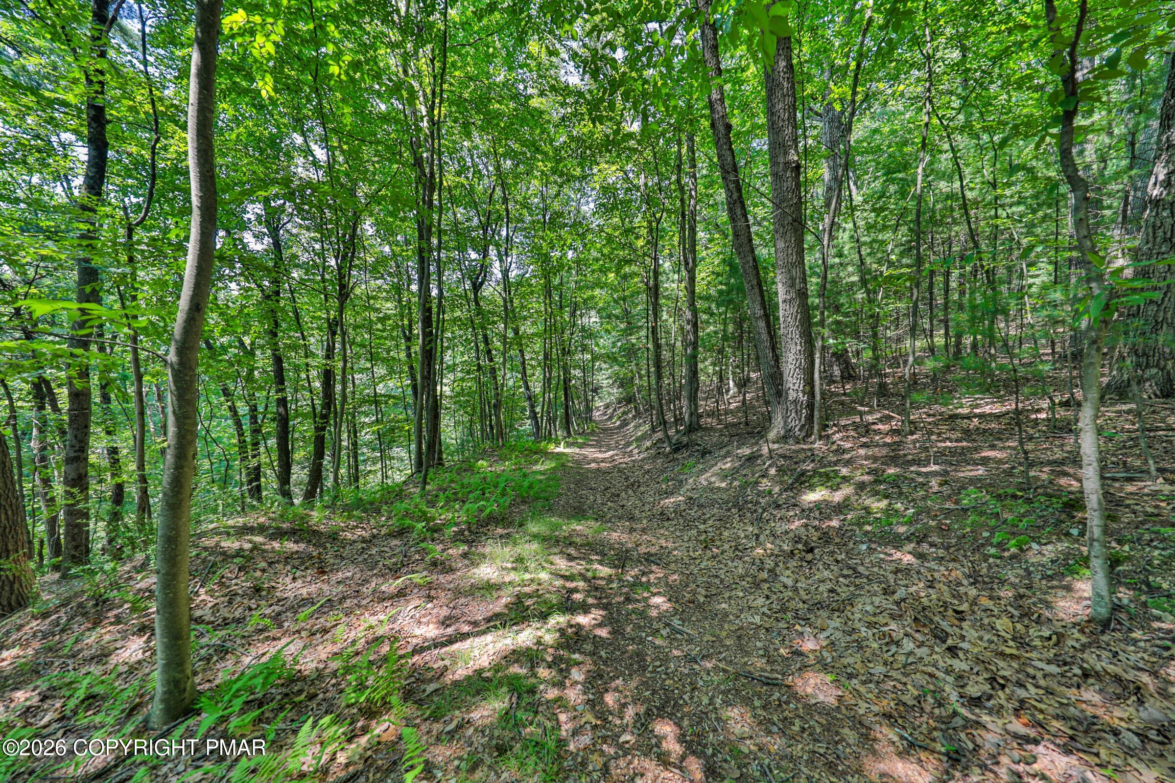 169 Dogwood Lane Property Photo 47