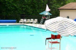 1115 Snowshoe Court Property Photo 45