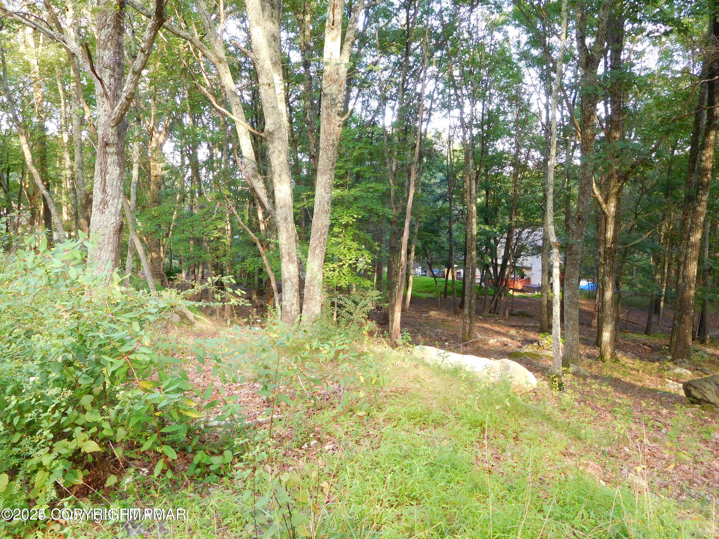 Lot 553 Sioux Dr Drive Property Photo 3