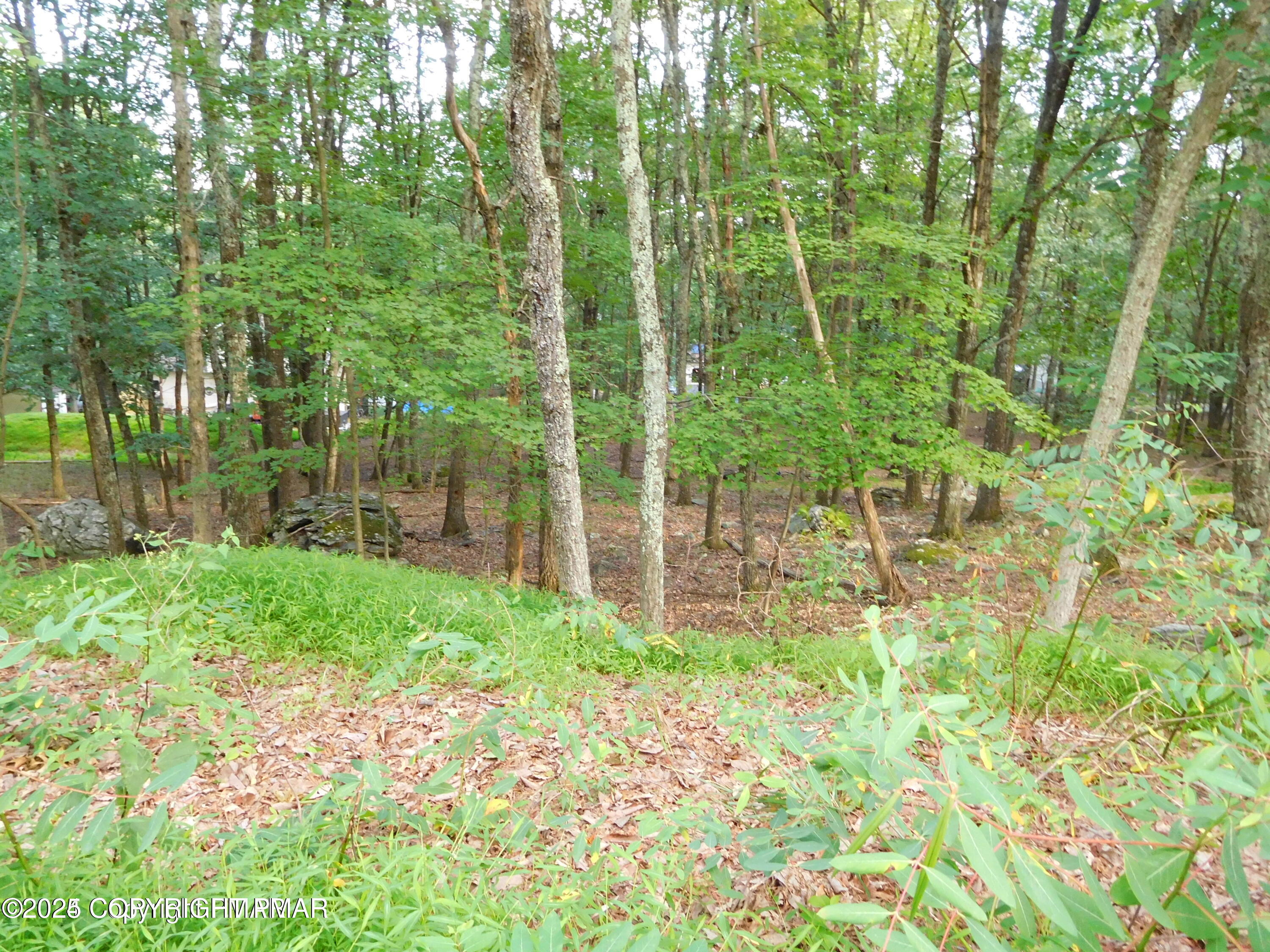 Lot 553 Sioux Dr Drive Property Photo 4