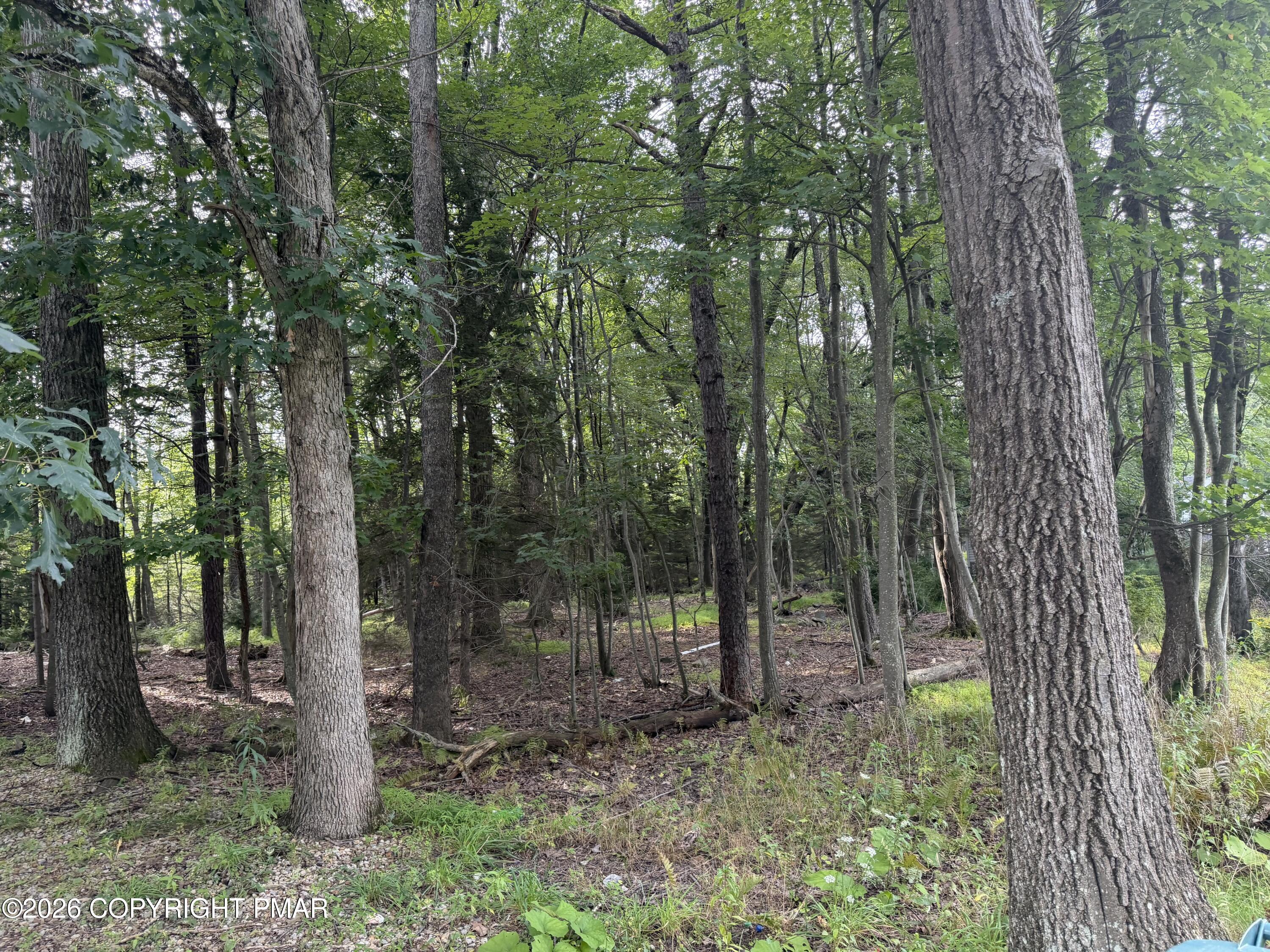 123 Stillwater Drive Property Photo 16