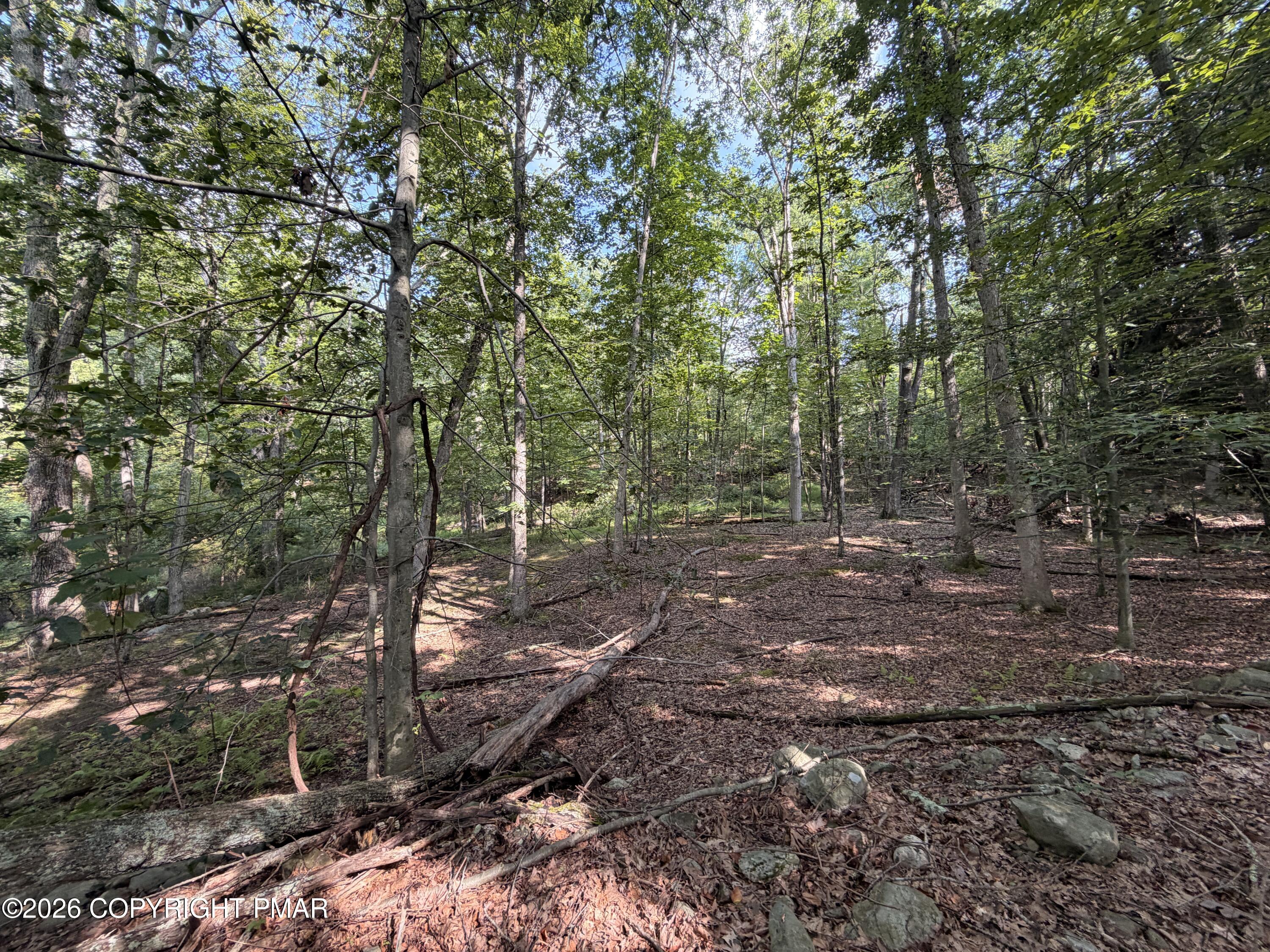 Upper Lakeview Dr Drive Property Photo 5