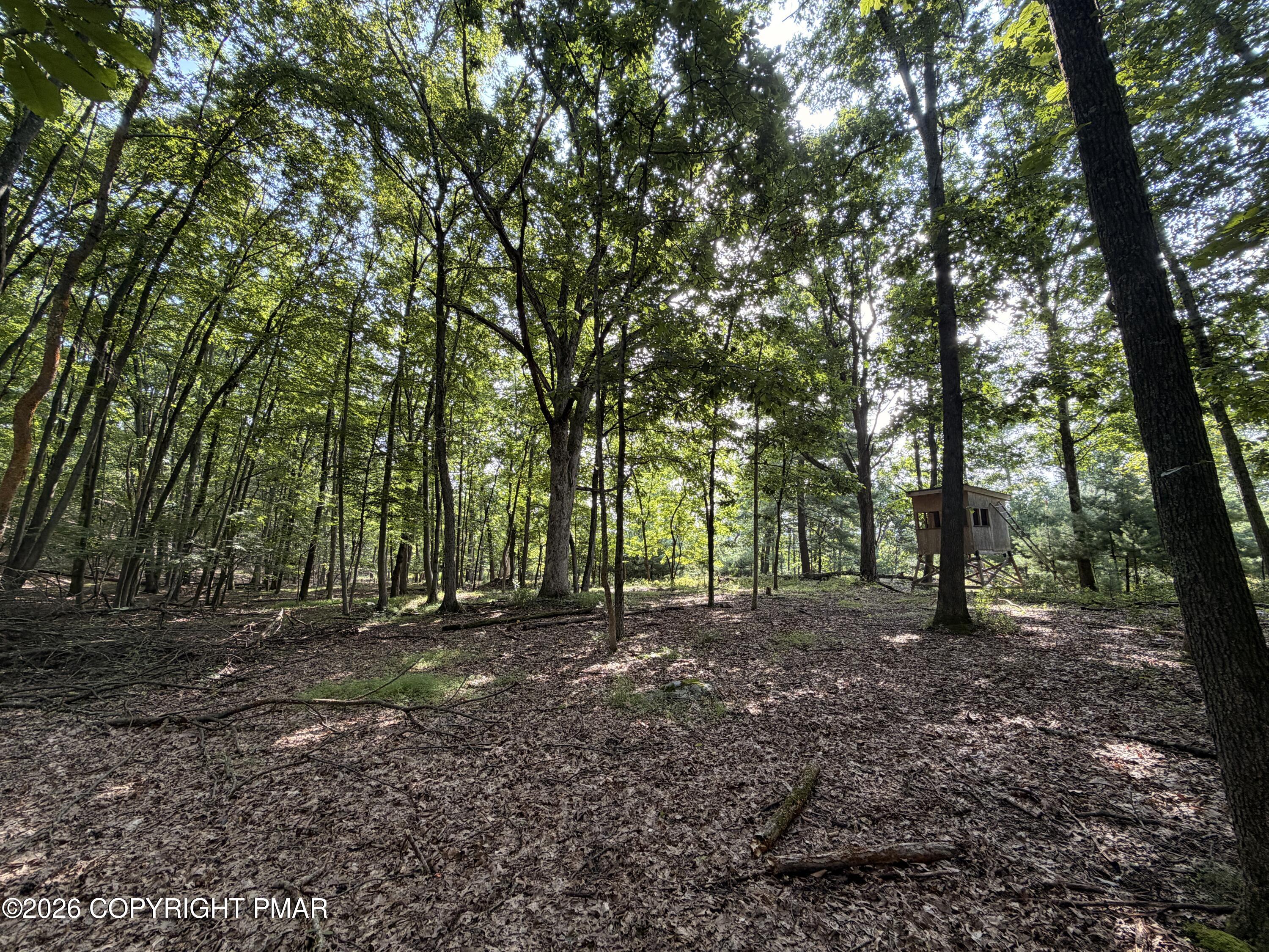 Upper Lakeview Dr Drive Property Photo 7