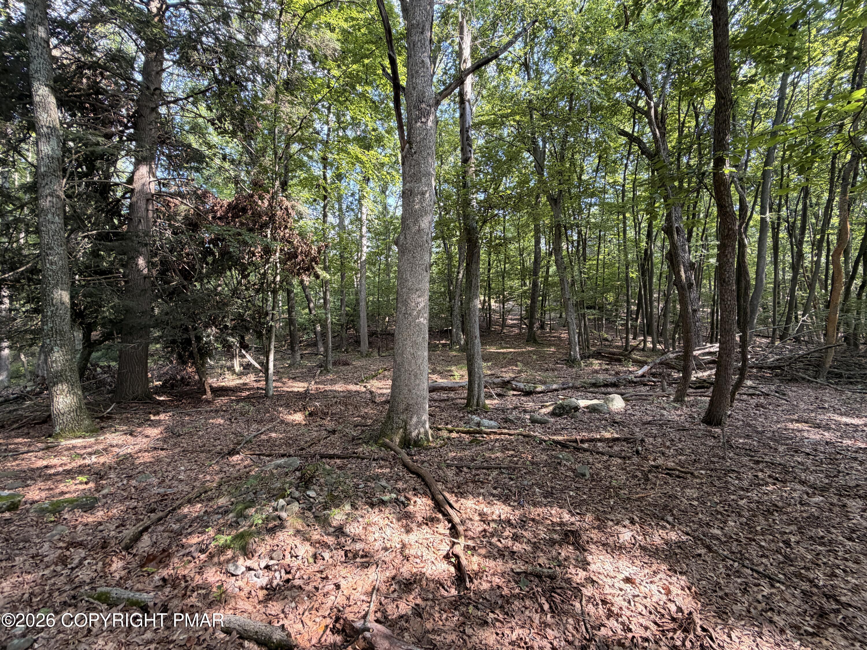 Upper Lakeview Dr Drive Property Photo 10
