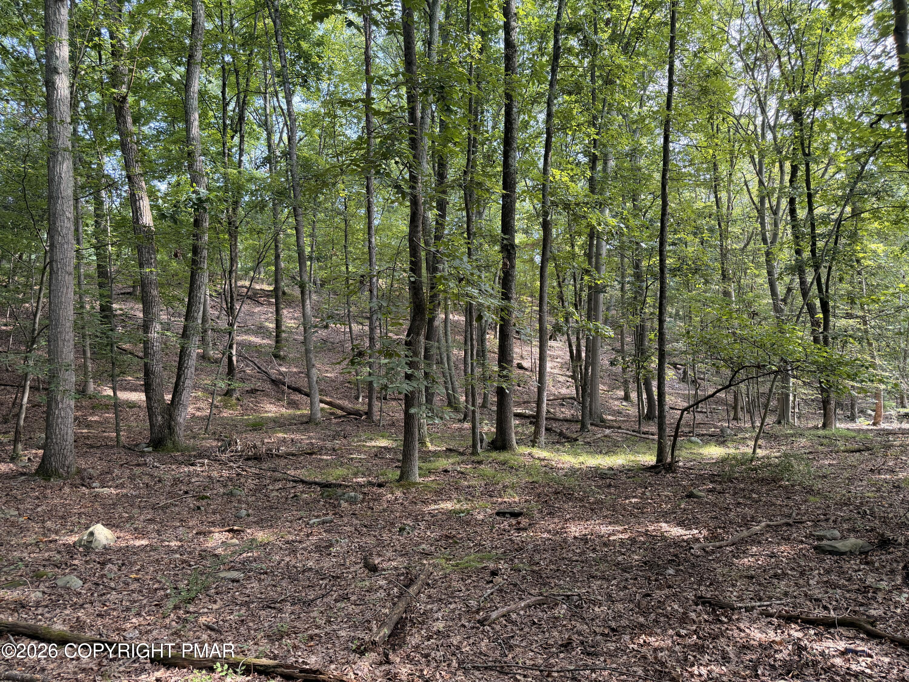 Upper Lakeview Dr Drive Property Photo 11