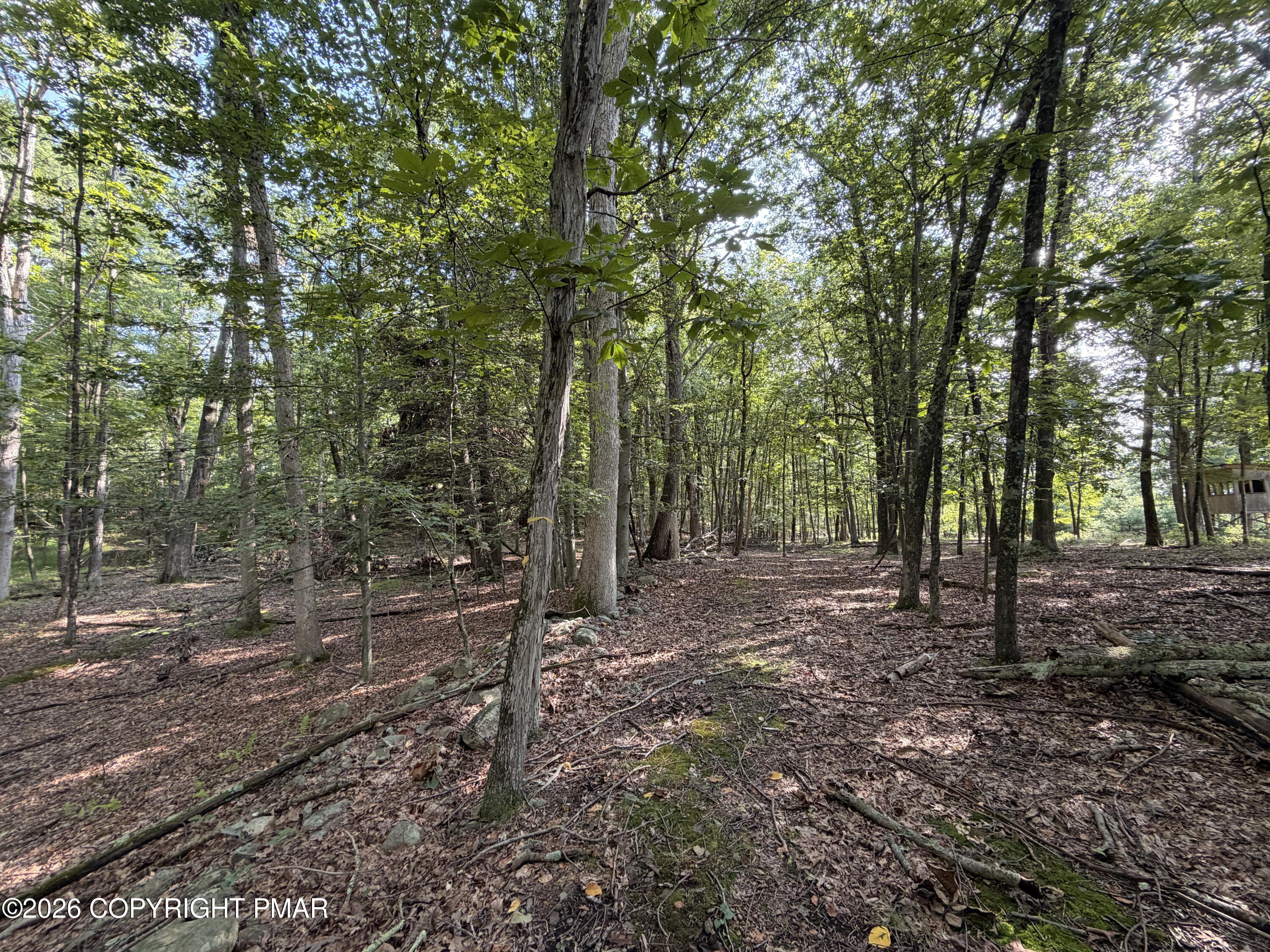 Upper Lakeview Dr Drive Property Photo 12