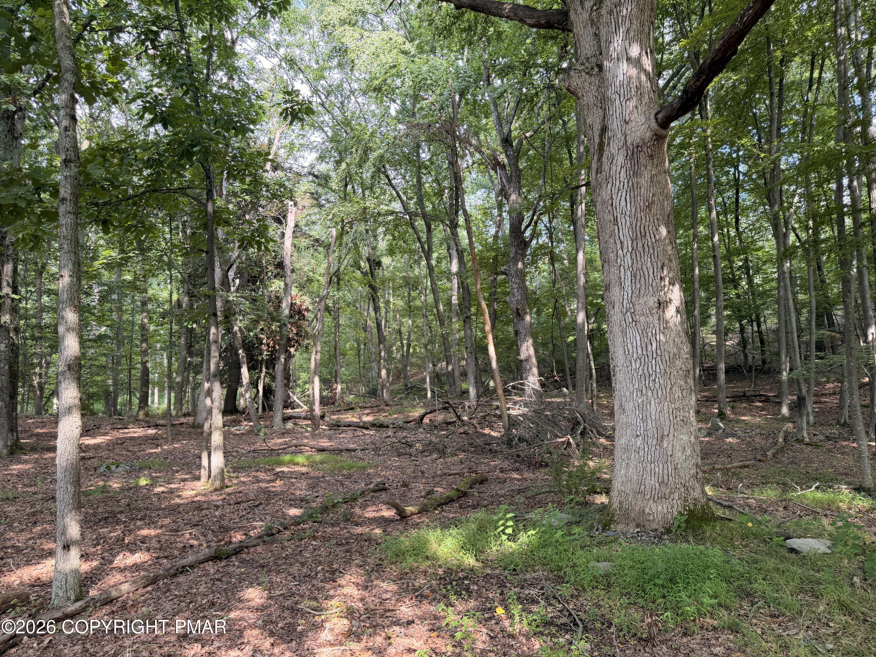 Upper Lakeview Dr Drive Property Photo 15