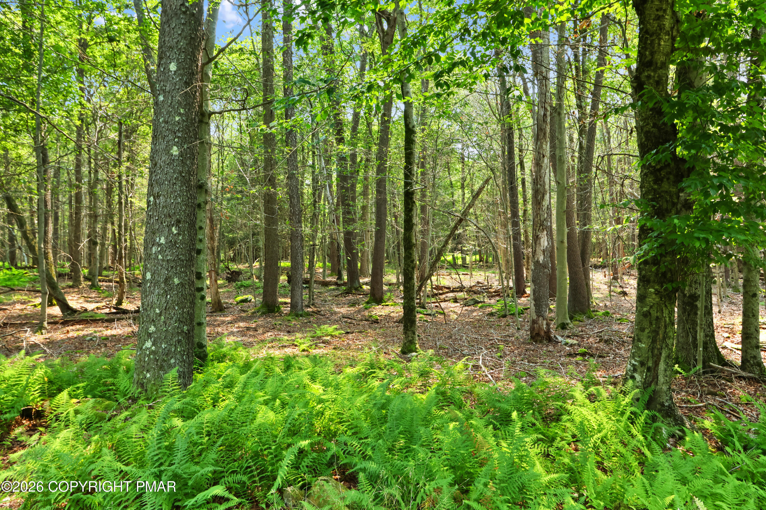 1022 Hilltop Drive Property Photo 31