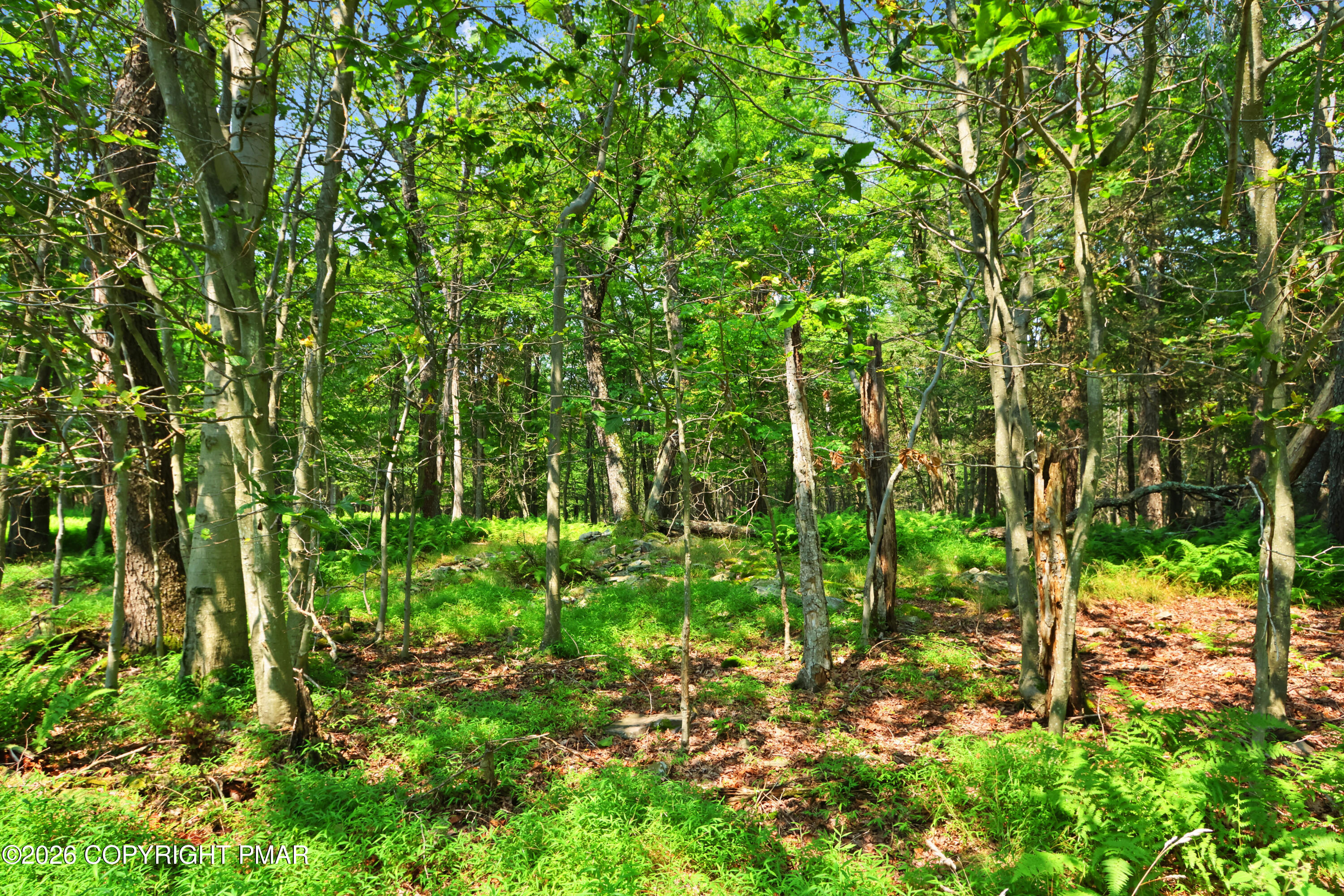 1022 Hilltop Drive Property Photo 32