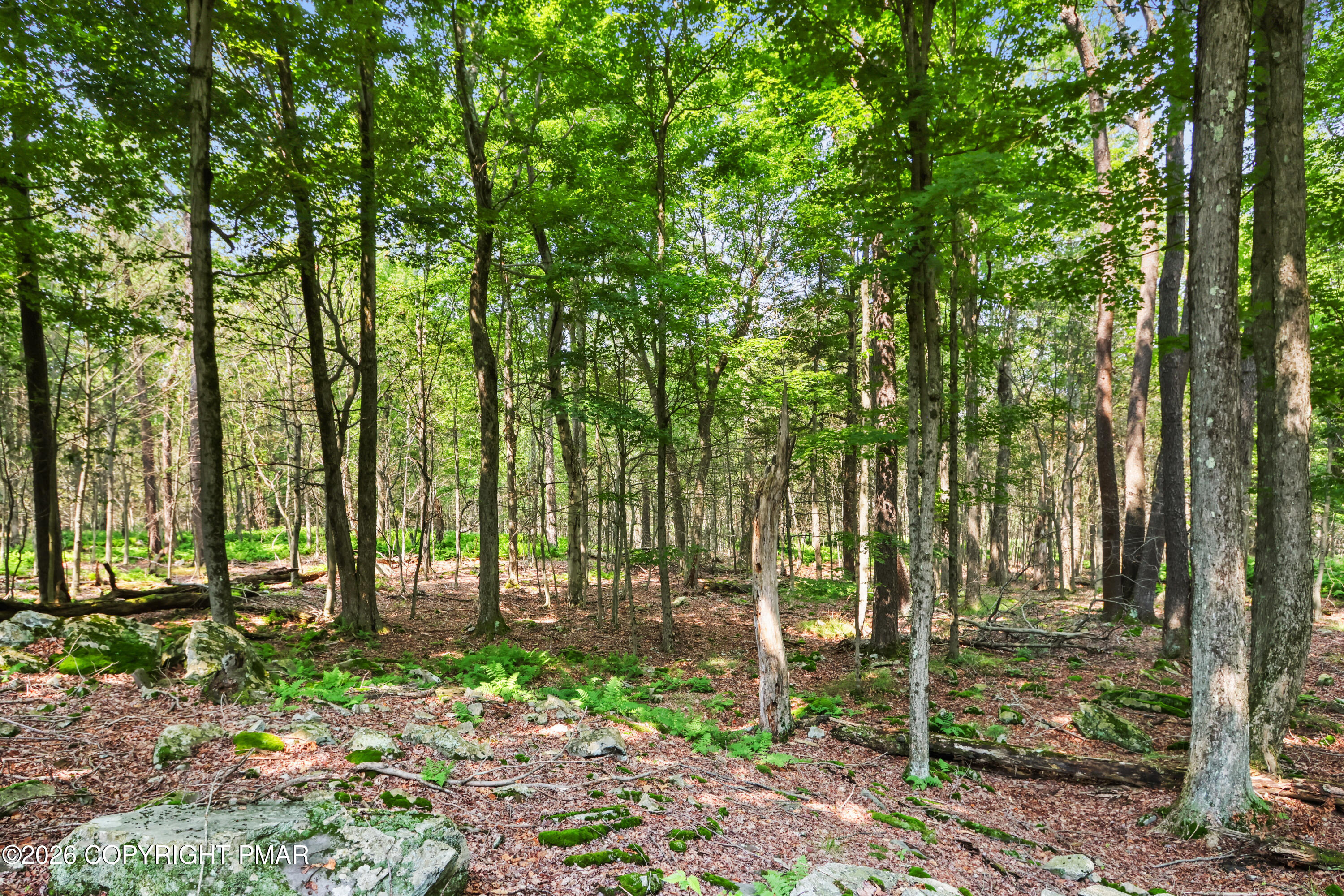 1022 Hilltop Drive Property Photo 33