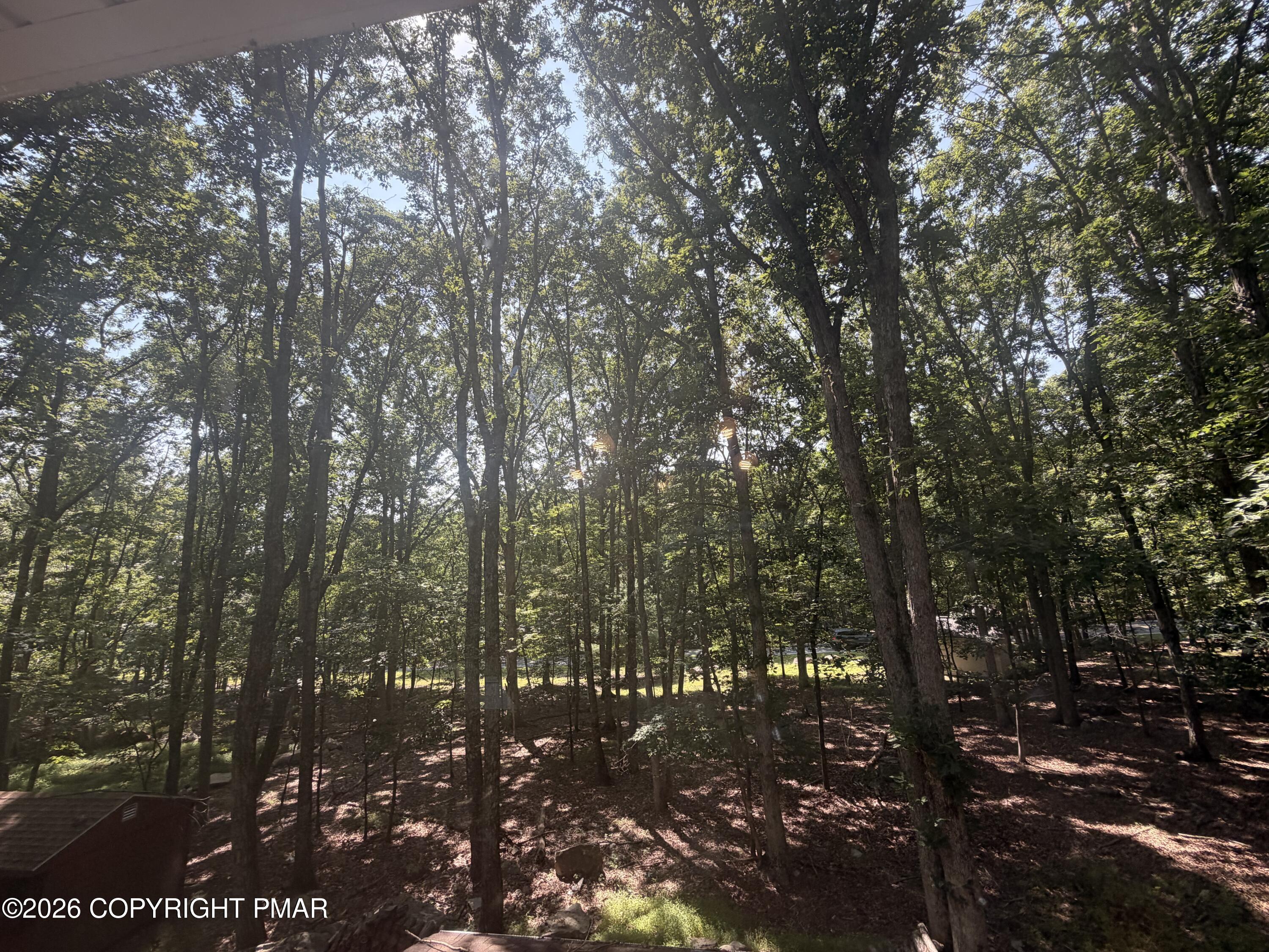 319 Hyland Drive Property Photo 48