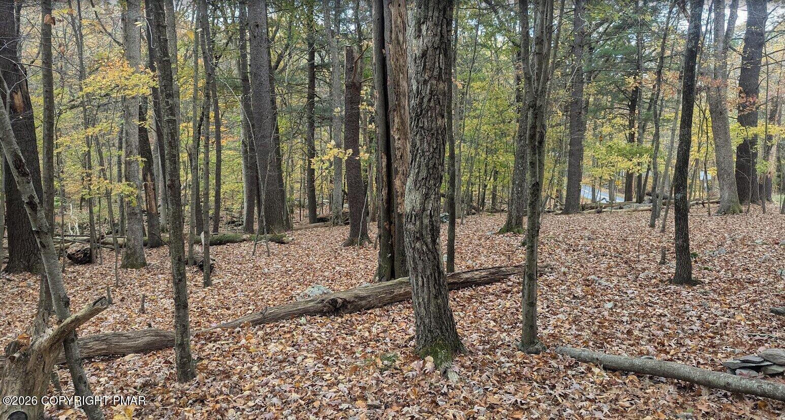 1168 Marshalls Creek Property Photo 1