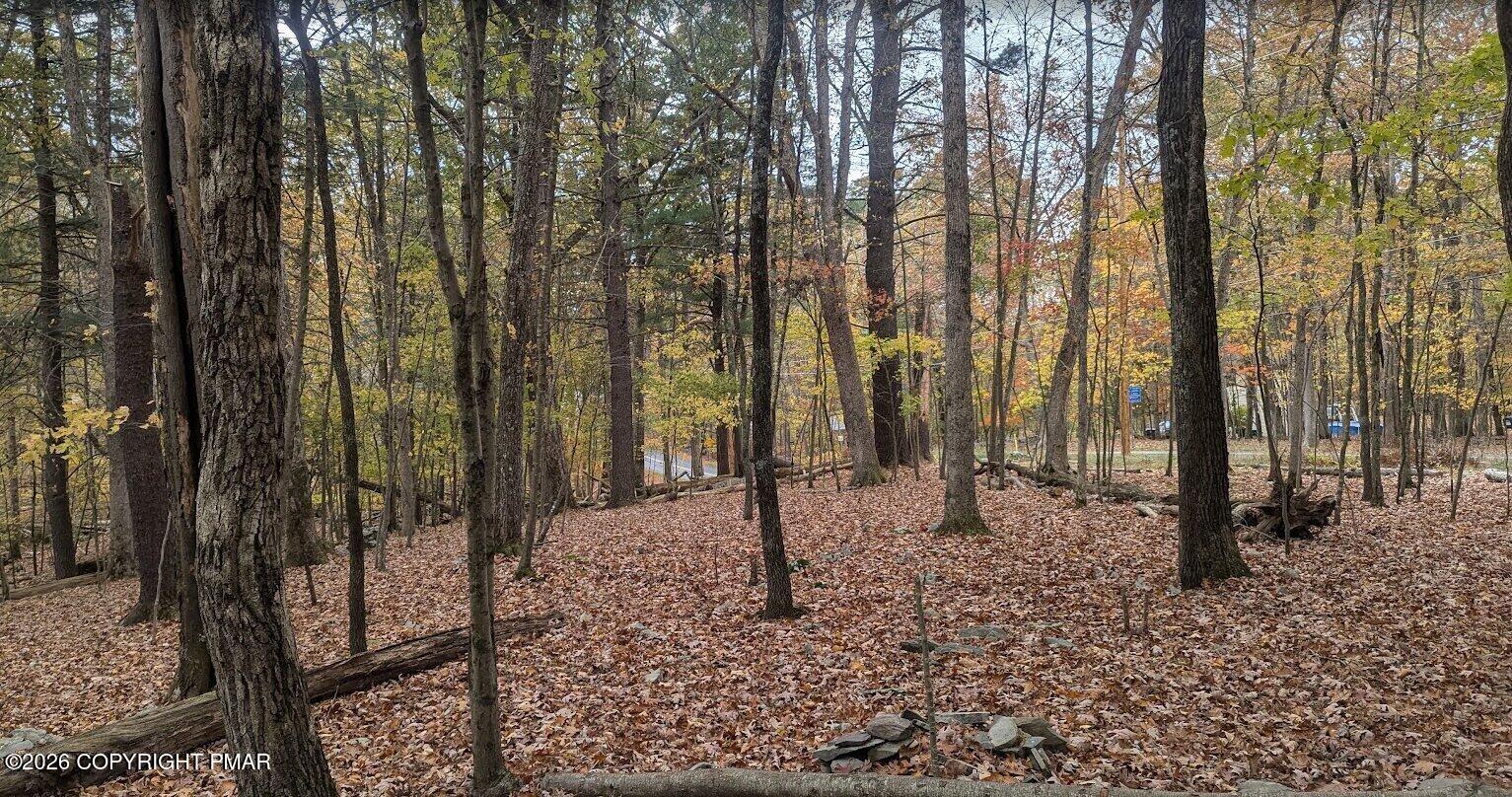 1168 Marshalls Creek Property Photo 4