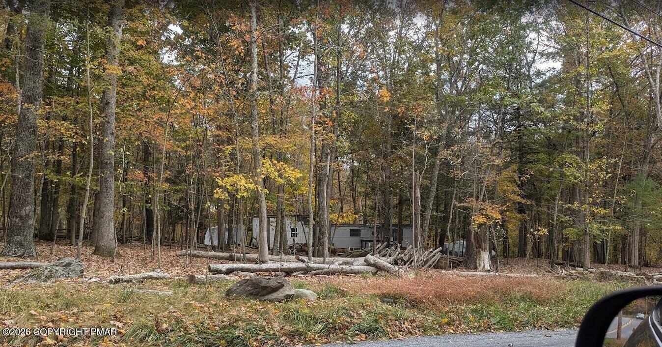 1168 Marshalls Creek Property Photo 5