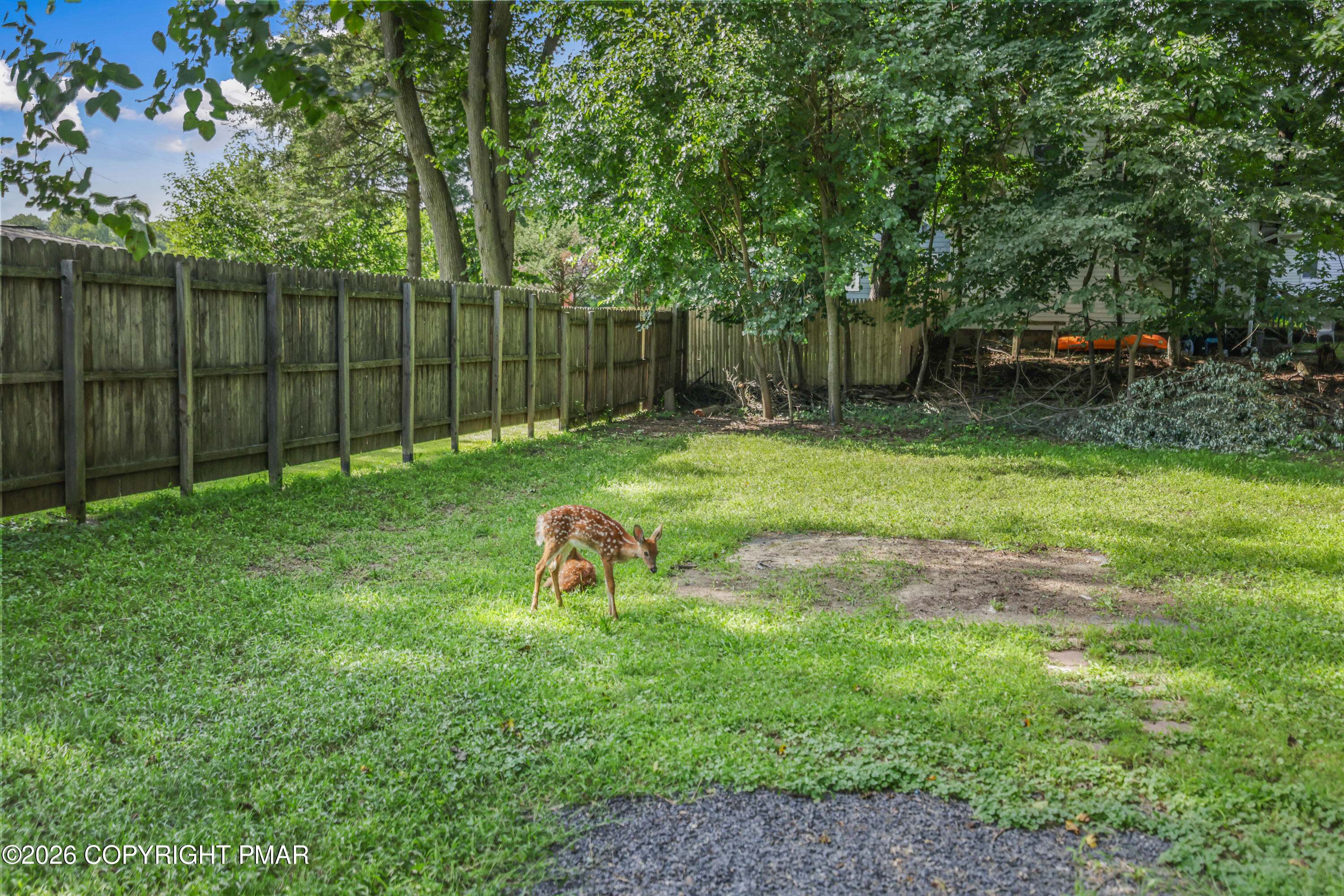 140 Barnum Street Property Photo 29