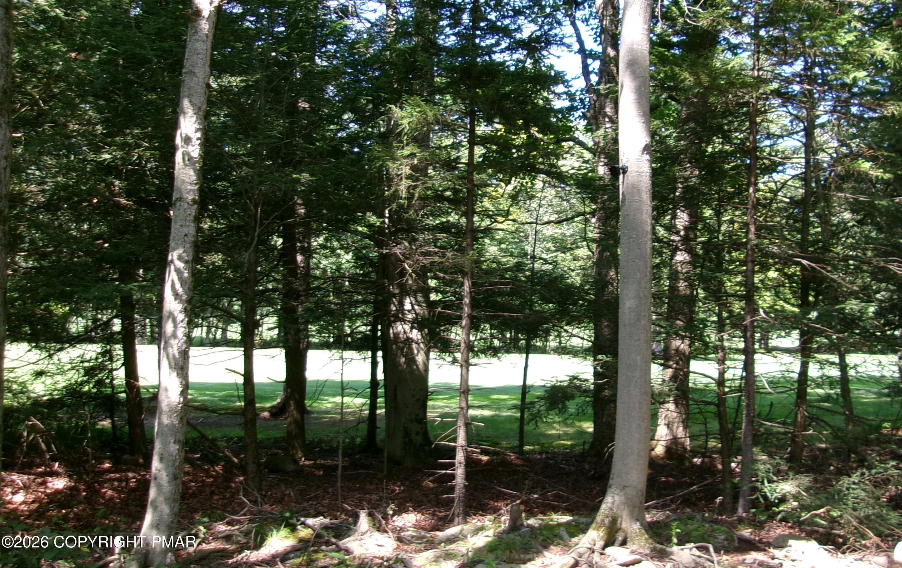 1231 Kilmer Road Property Photo 36