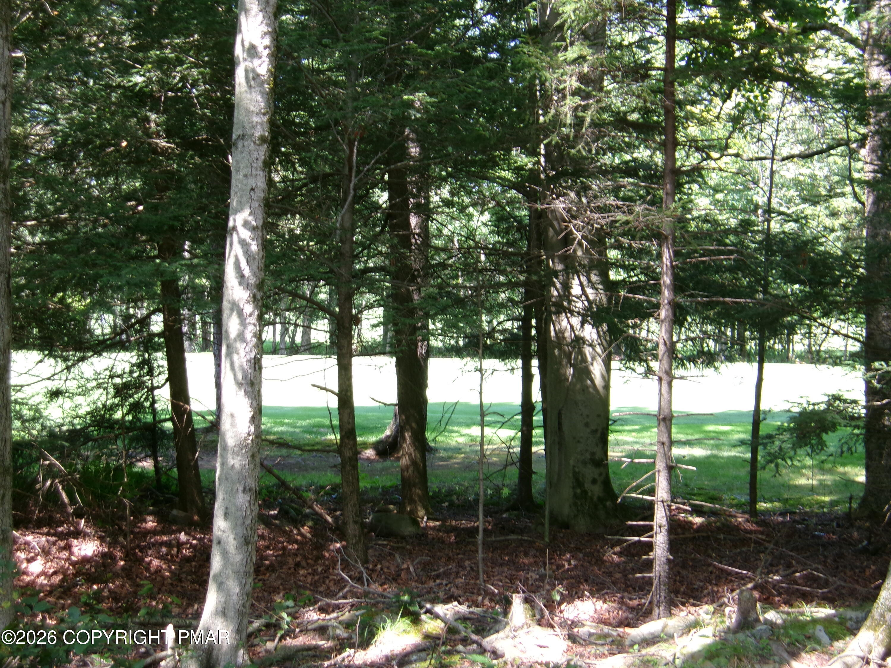1231 Kilmer Road Property Photo 68
