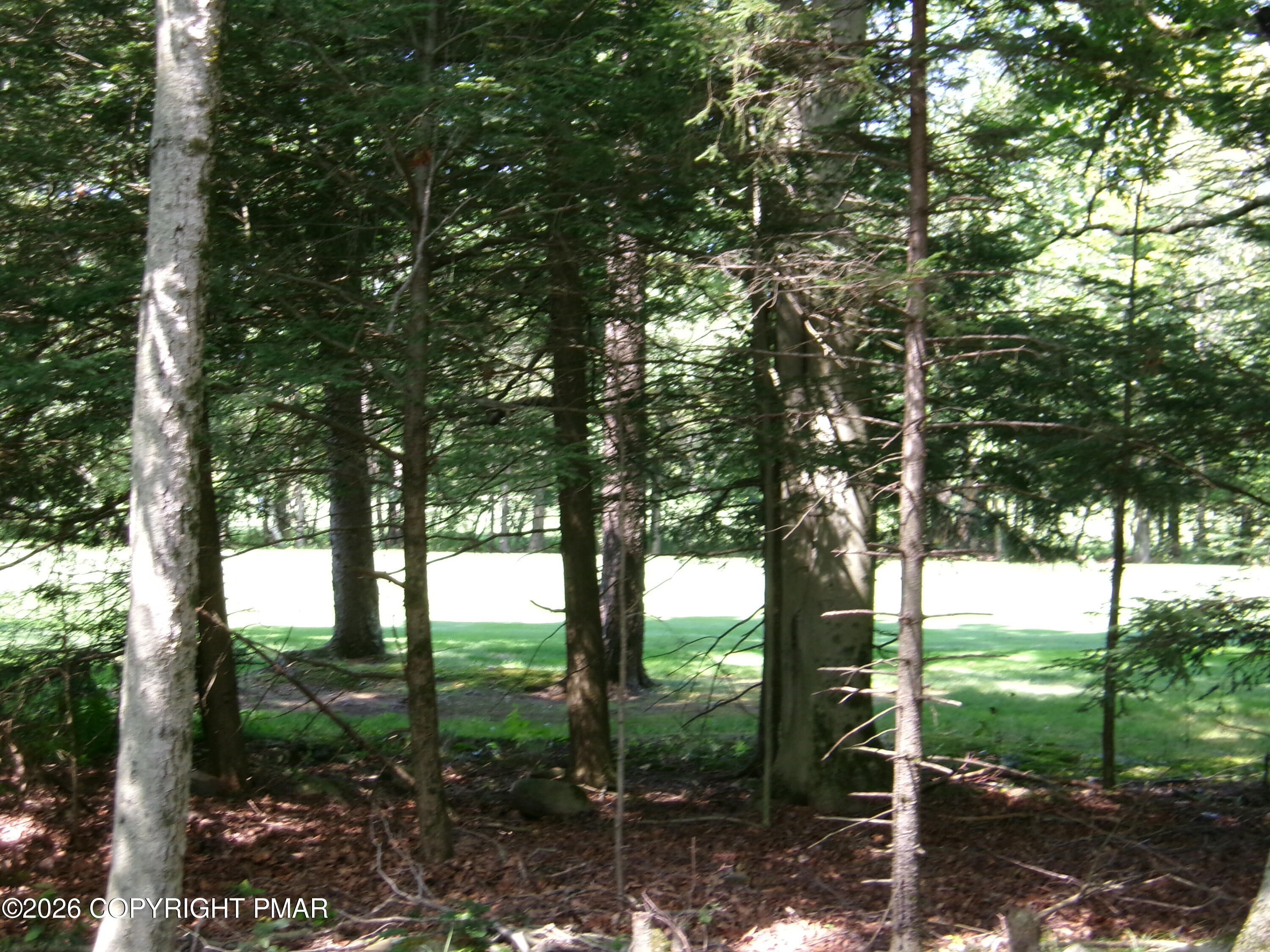 1231 Kilmer Road Property Photo 69
